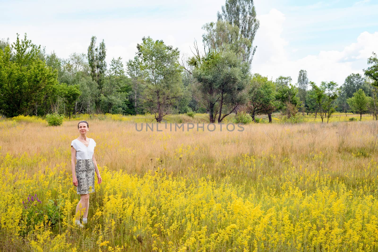 An adult woman stands up in a meadow covered with Galium verum flowers, also known as lady's bedstraw or yellow bedstraw, with a bunch of yellow flowers in her hands, in Kiev, Ukraine