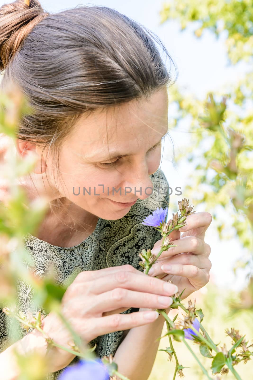 A senior woman is sniffing a blue flower in the park during a warm summer day