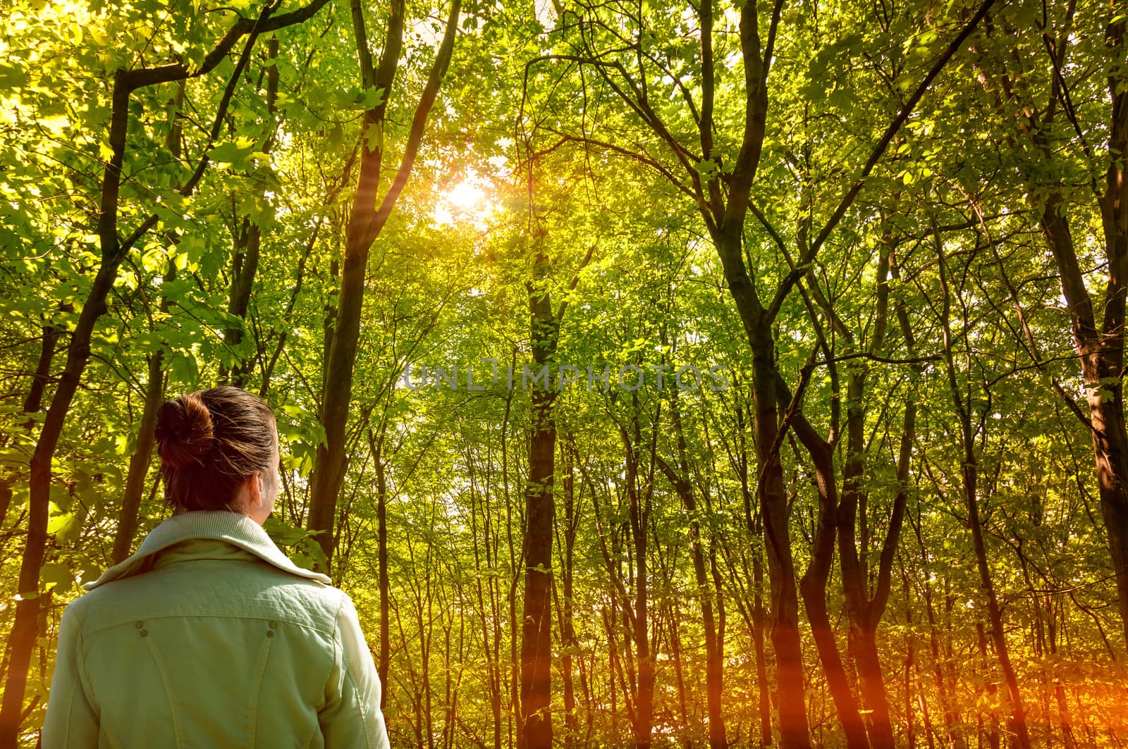 A woman lightened by the sun rays through the tree in a deep forest
