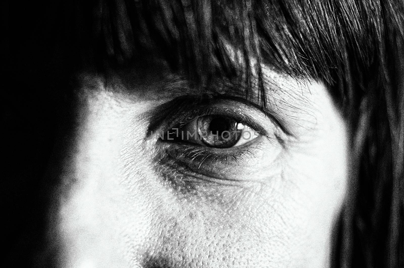 Black and white photo with photographic grain (no noise!)  of a woman's eye with a hard contact lens