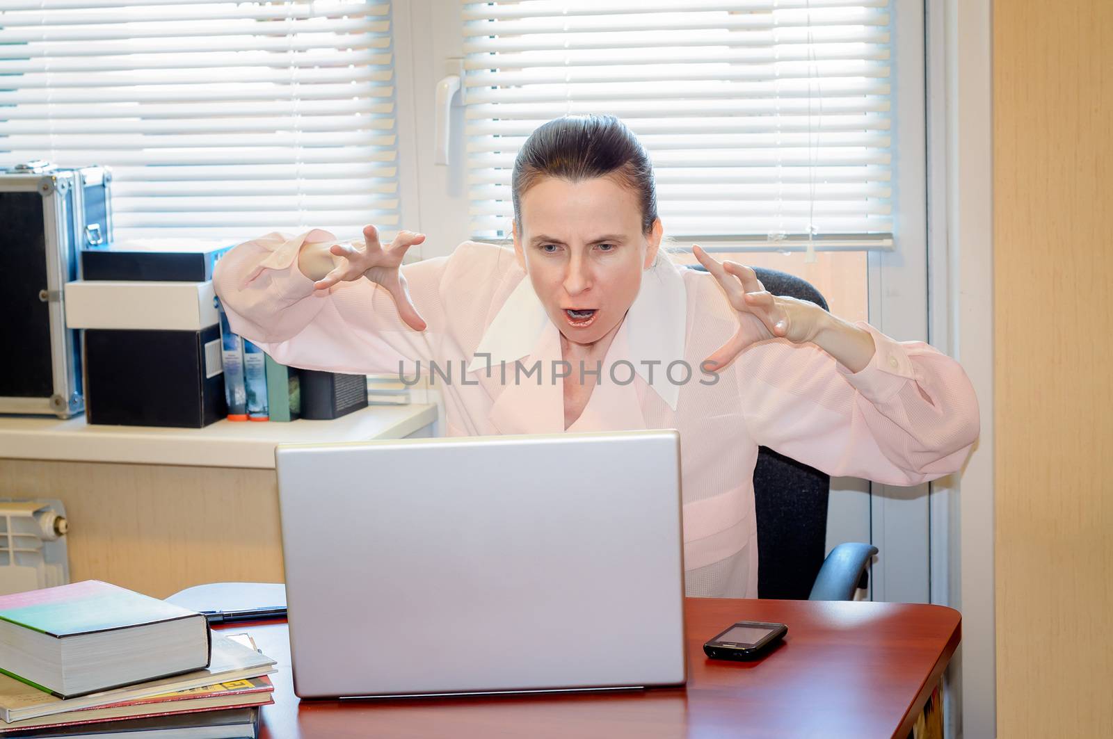 Senior Woman Raging Against the Computer by MaxalTamor