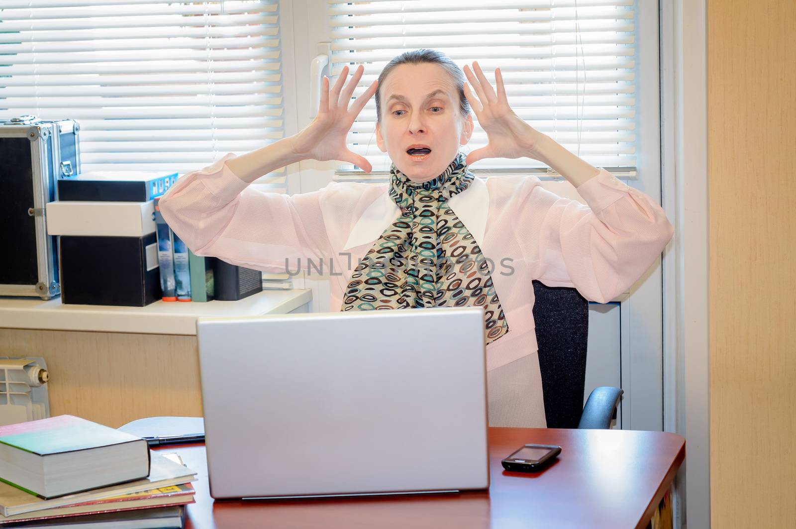 Senior Woman Raging Against the Computer by MaxalTamor