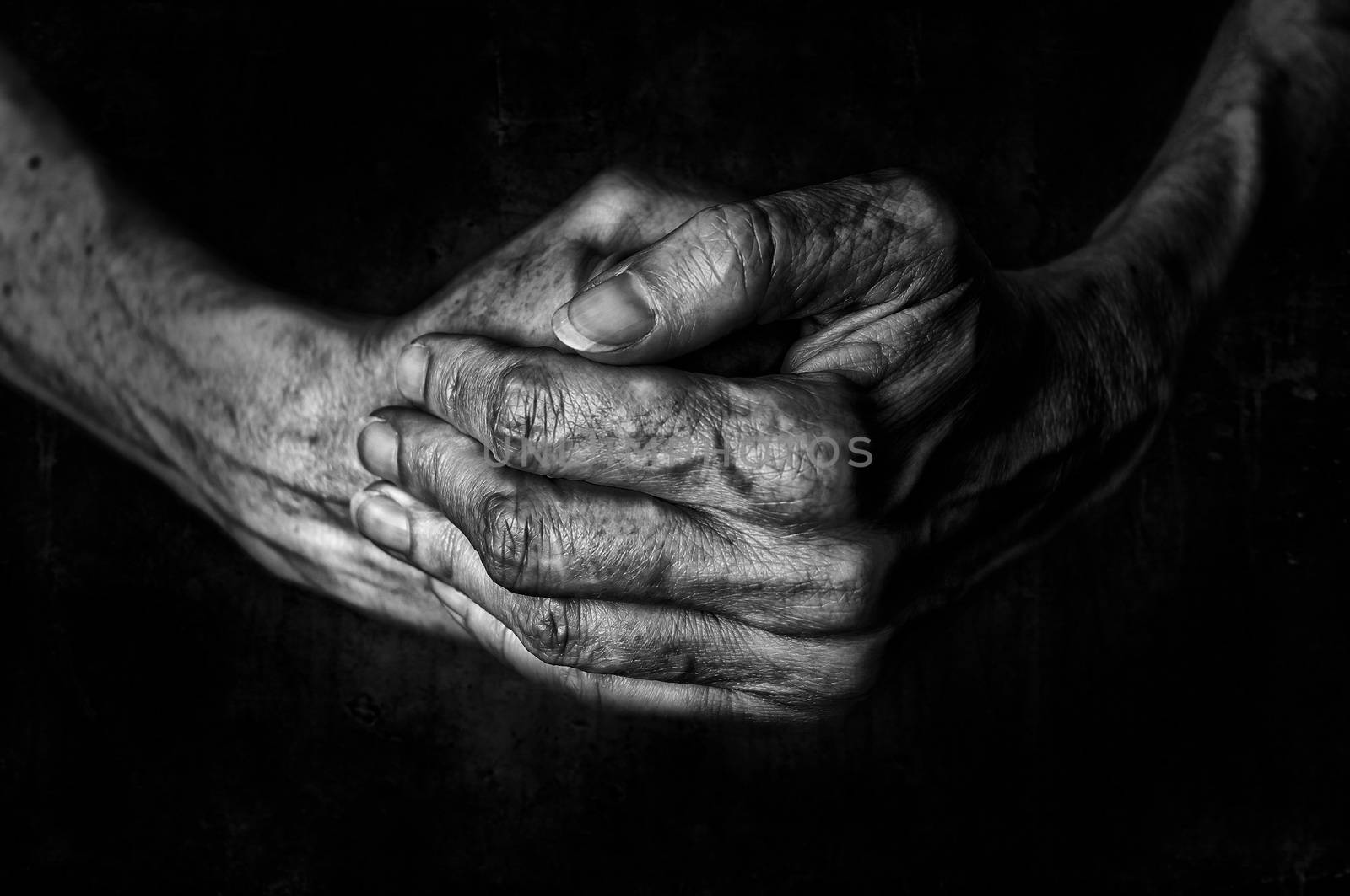 Black and White photo of senior woman hands praying on a dark background texture