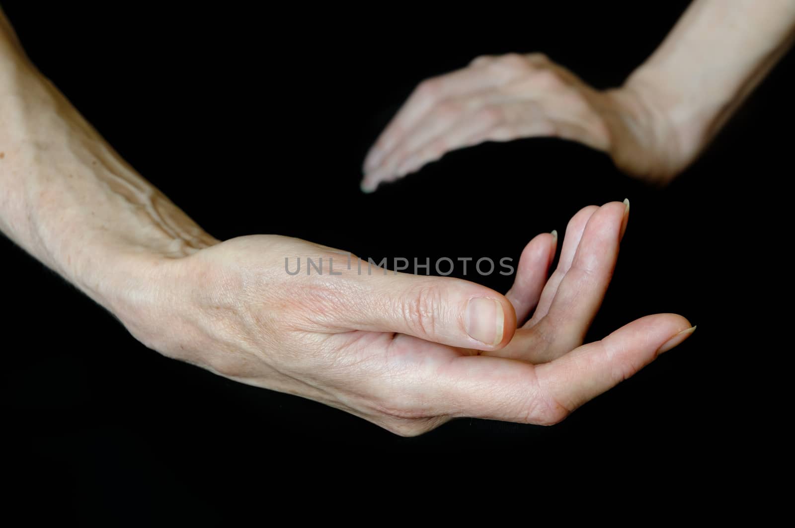 Woman's Hands by MaxalTamor
