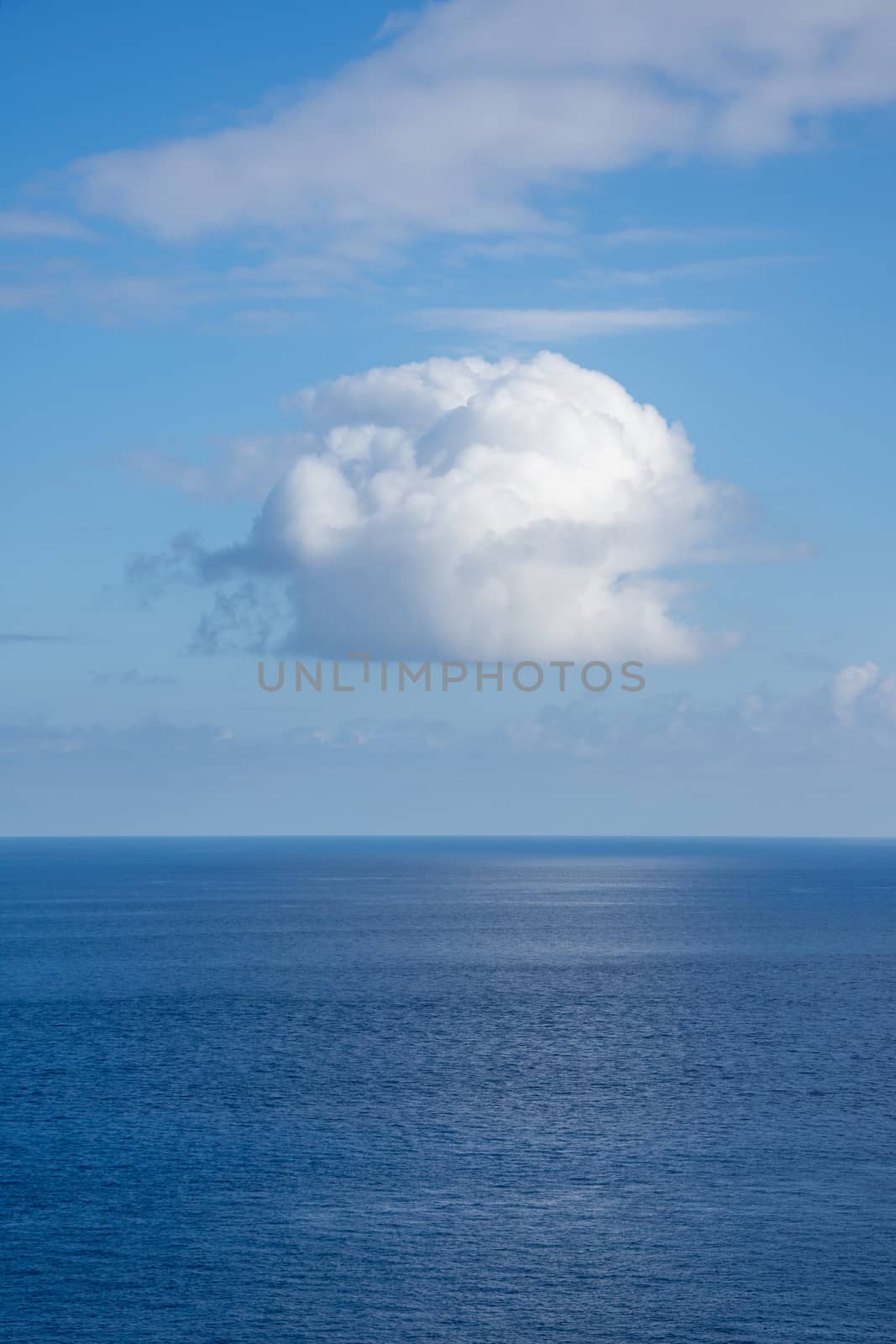 Walk on the Azores archipelago. Discovery of the island of Faial, Azores. Portugal , Horta