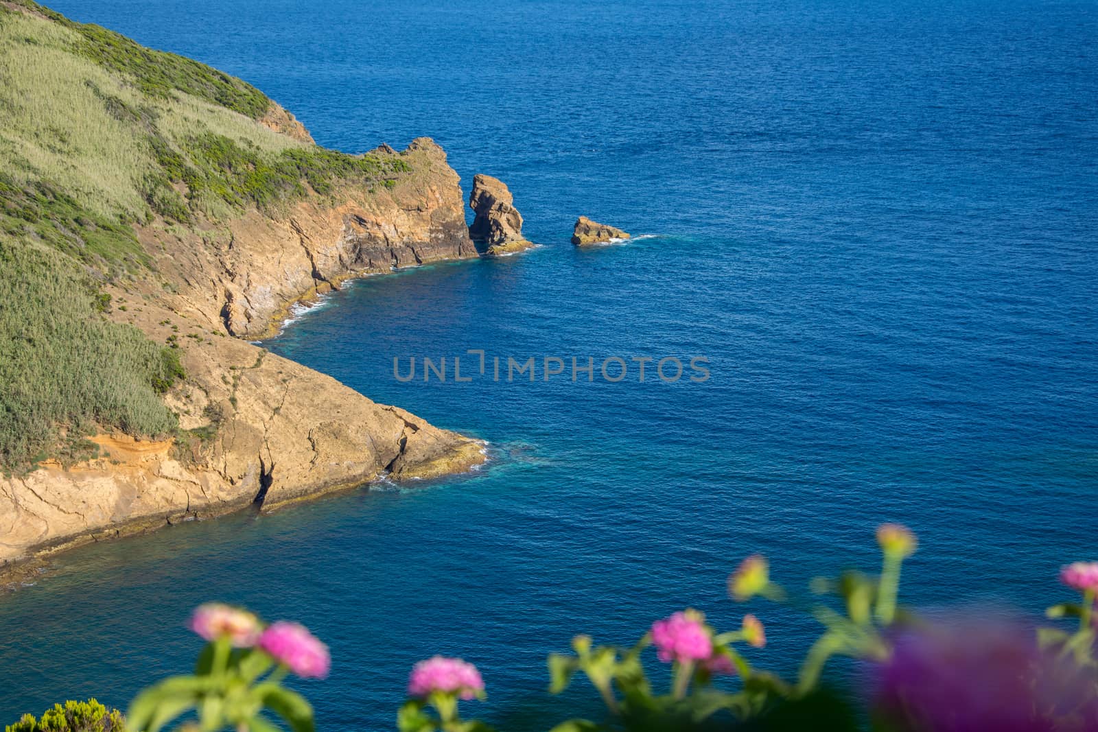 Walk on the Azores archipelago. Discovery of the island of Faial, Azores. Portugal , Horta