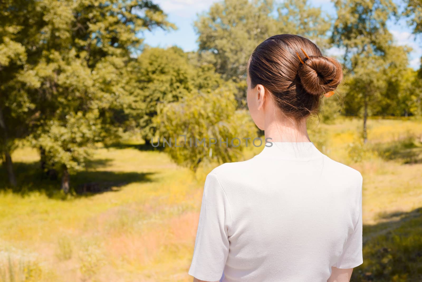 A senior woman with a bun is looking the trees in the park during a warm and sunny summer day