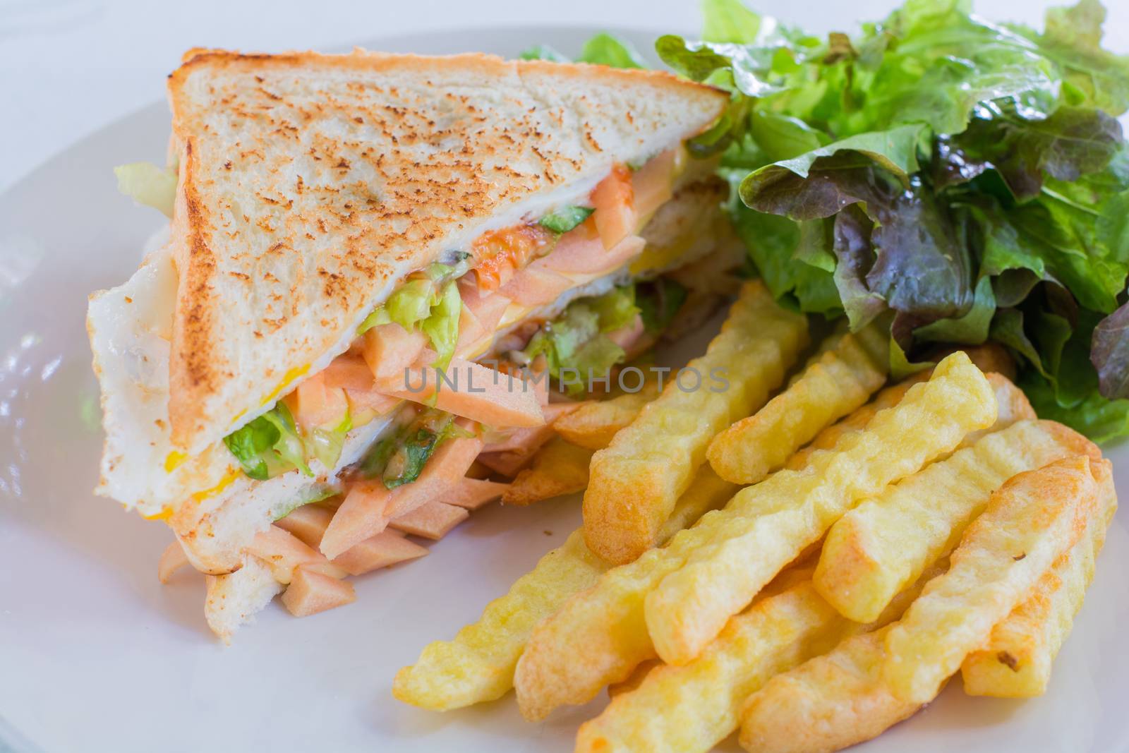 Sandwich with sausage, mayonnaise and ketchup on white plate with french fries and fresh lettuce. Fast food concept.