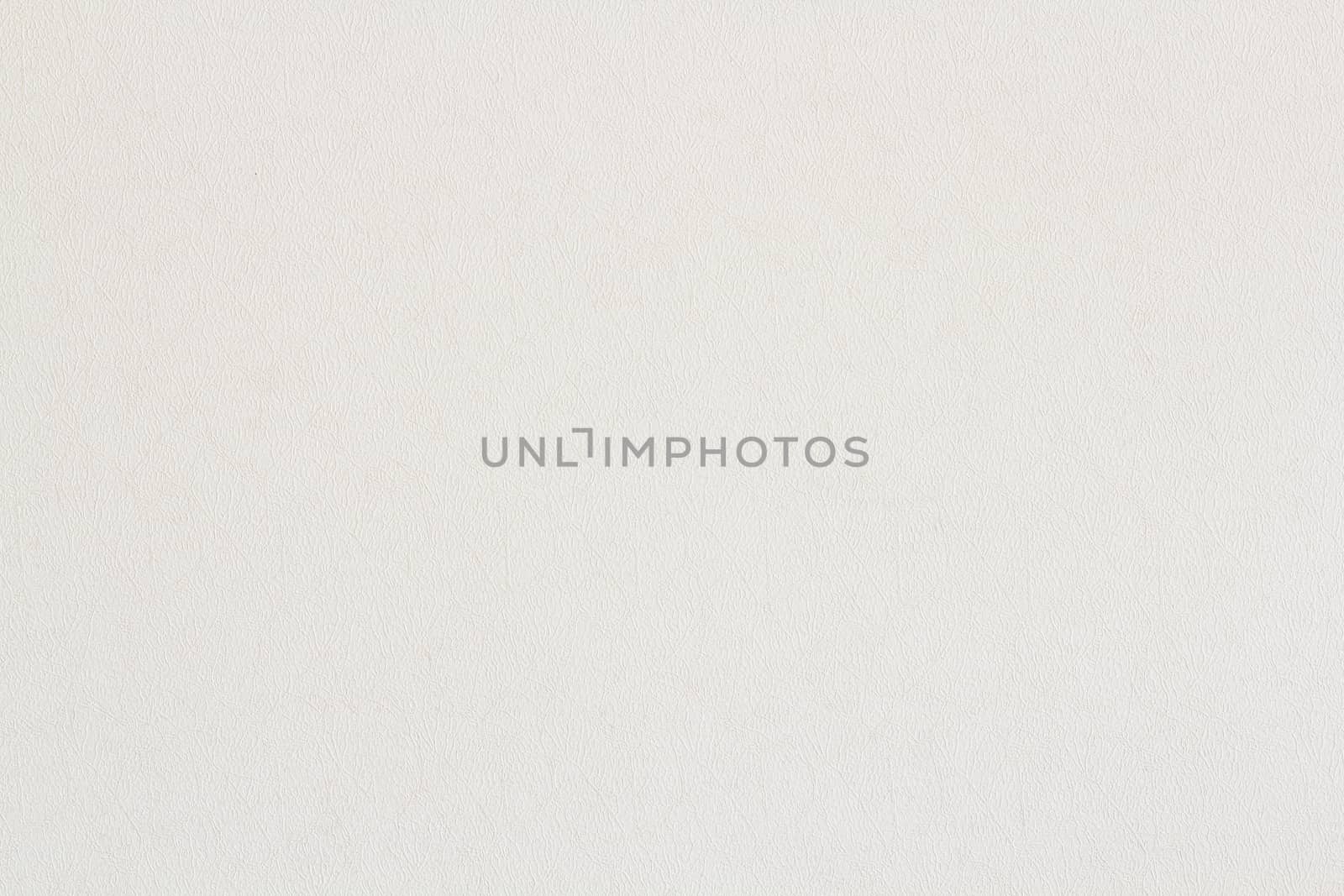 White leaf texture, background and wallpaper style
