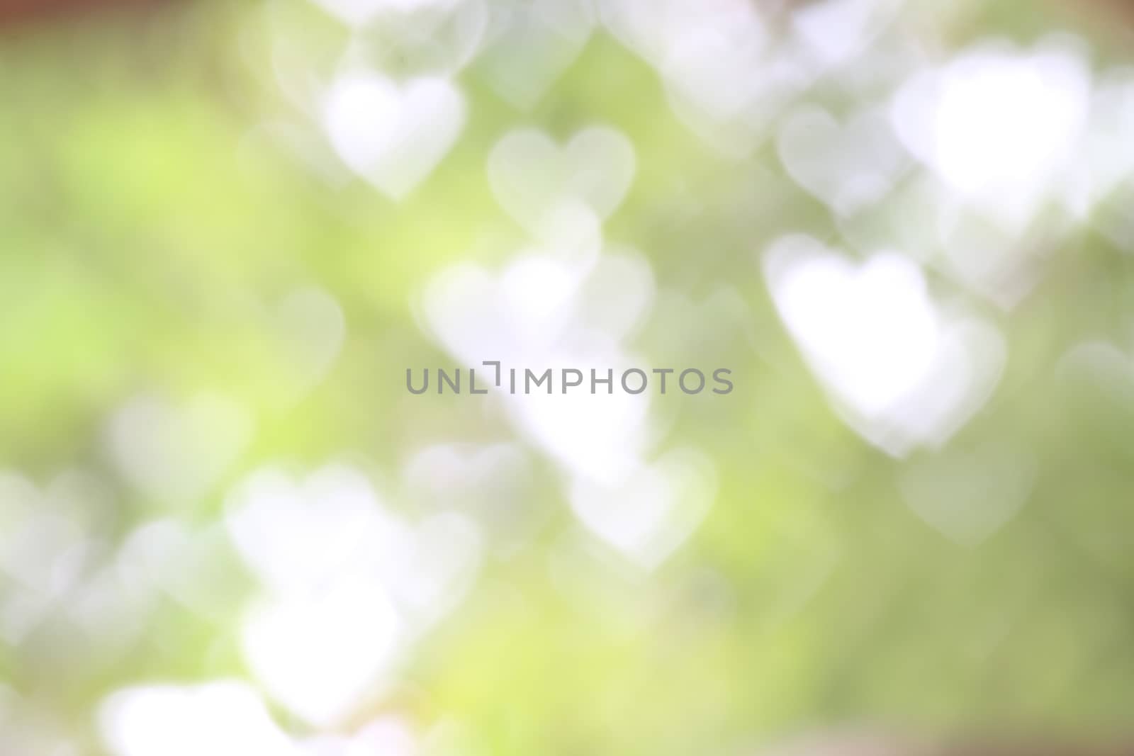 Background green tree soft blurred bokeh nature fresh lighting heart-shaped for valentine and forest herbs wallpaper, Soft bokeh nature Background design