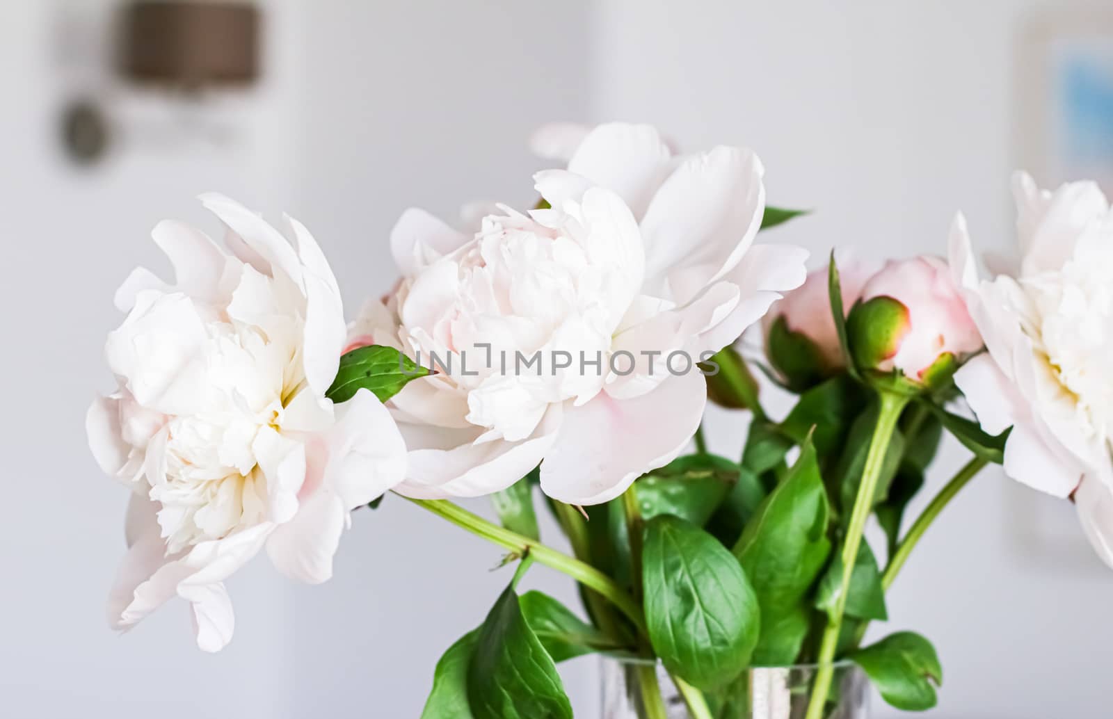 Chic bouquet of peony flowers in vase as home decor idea, luxury interior design and decoration by Anneleven