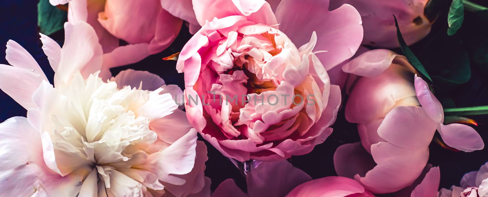 Pink peony flowers as floral art background, botanical flatlay and luxury branding by Anneleven