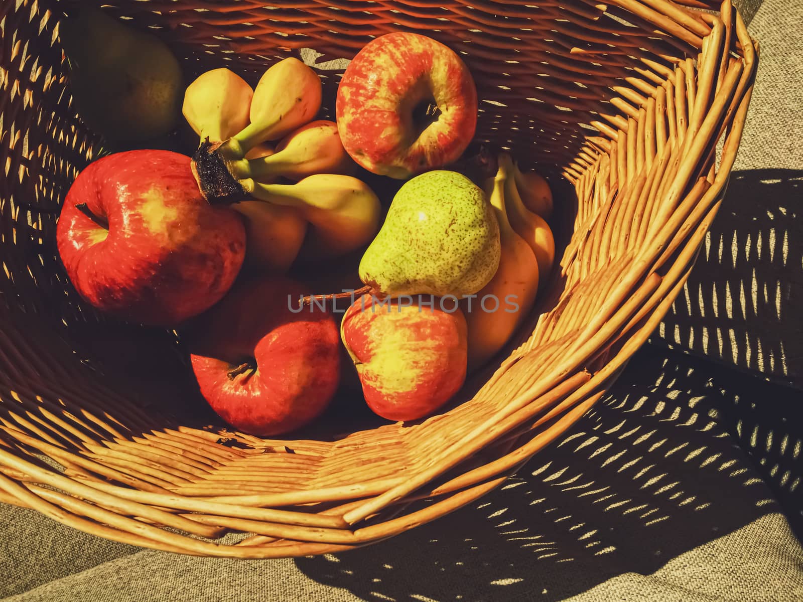 Organic apples, pears and bananas on rustic in a wicker basket, fruits farming and agriculture