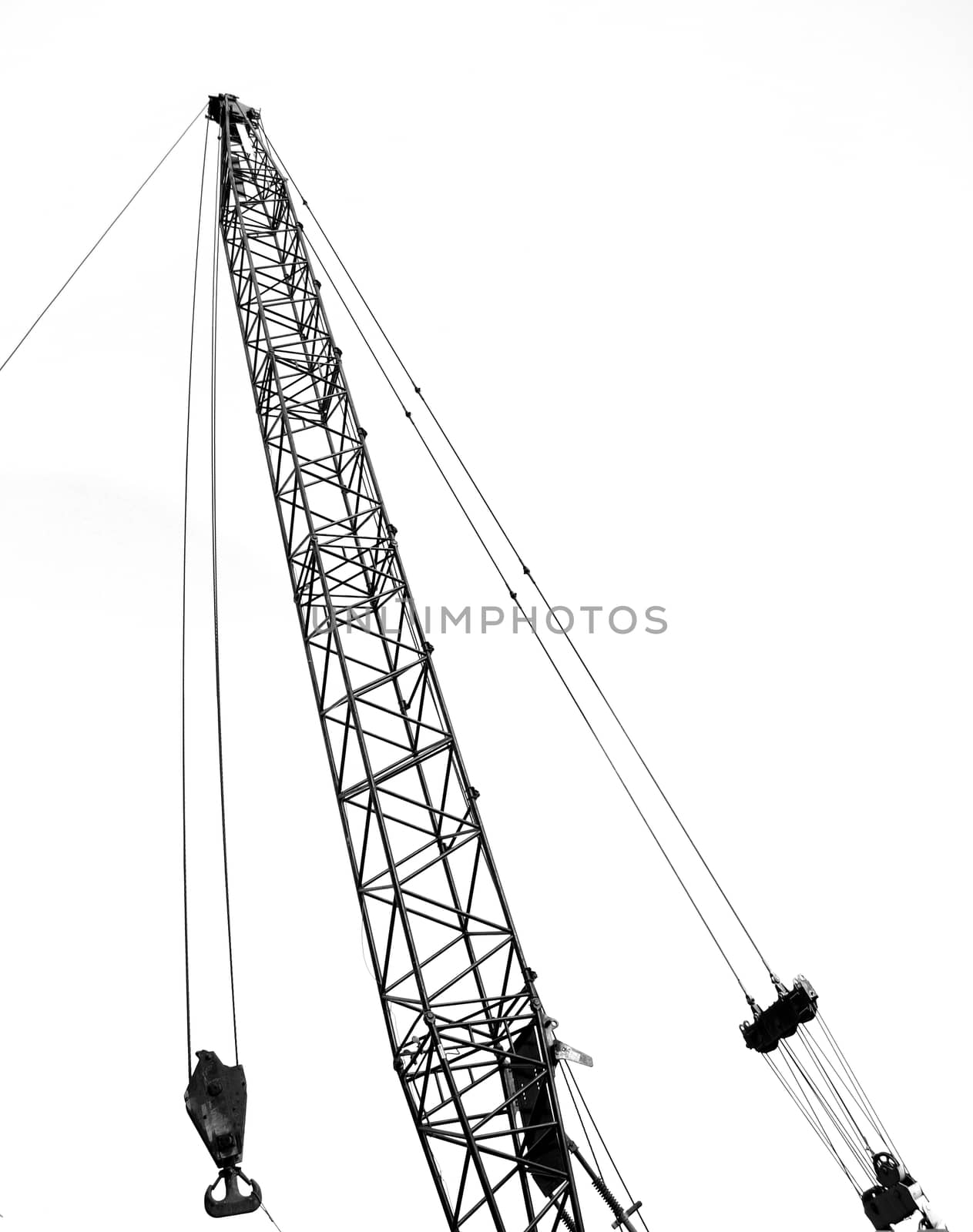 Large Crane Against White Background by shiyali