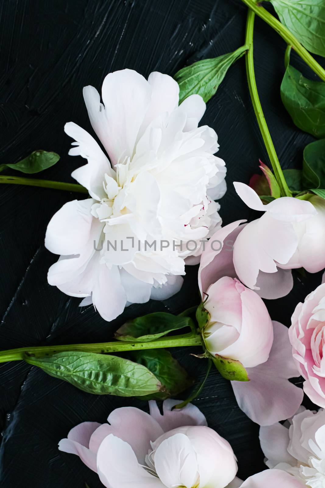 Blooming peony flowers as floral art background, botanical flatlay and luxury branding by Anneleven