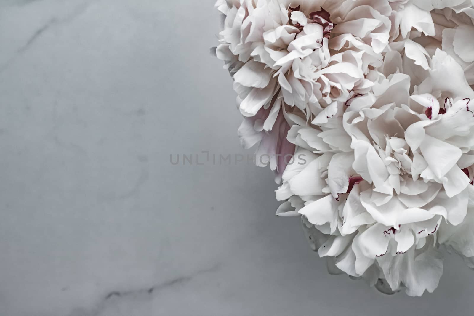 Bouquet of peony flowers as luxury floral background, wedding decoration and event branding by Anneleven