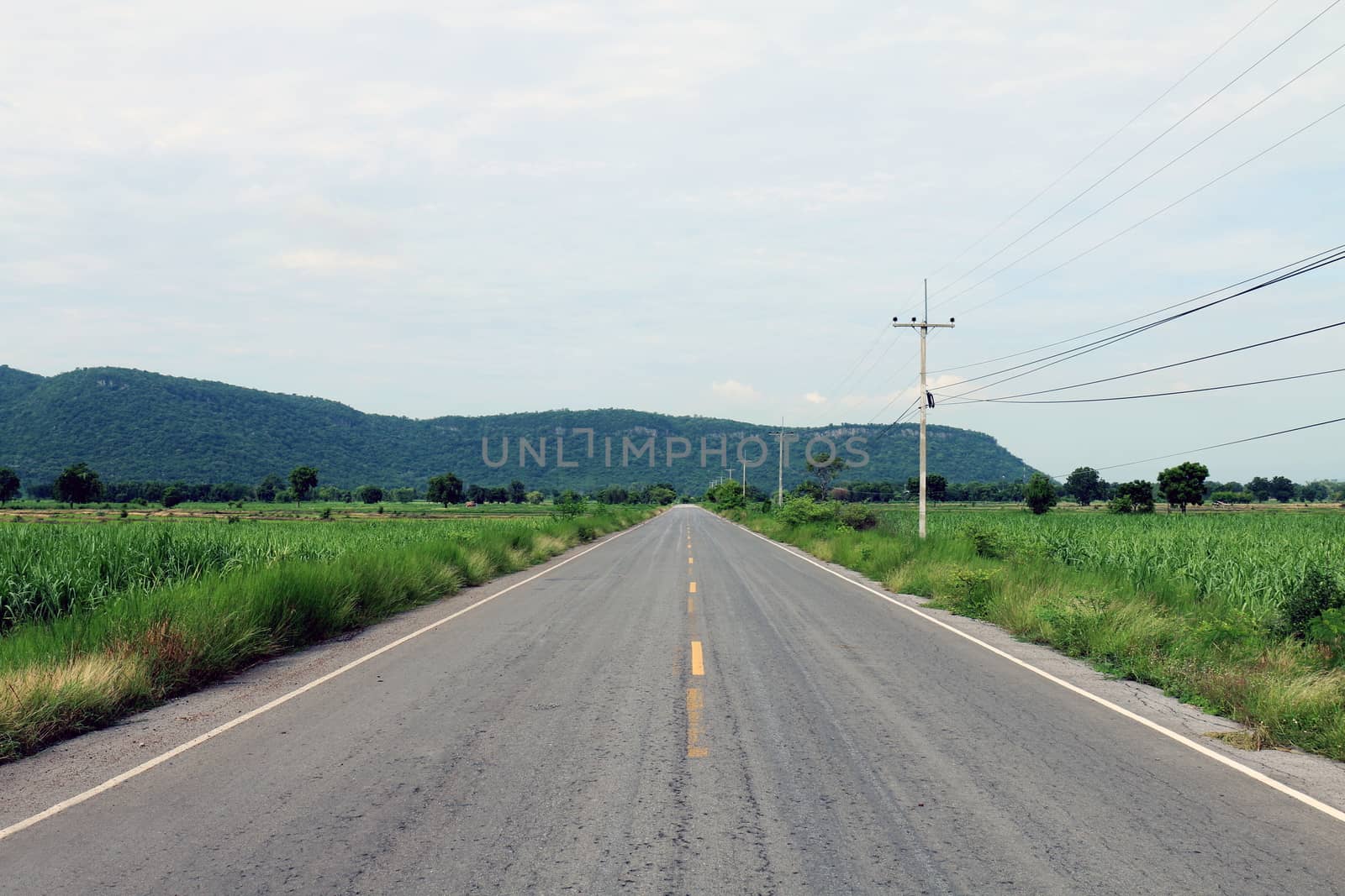 road, street, avenue roadway, countryside road in Thailand by cgdeaw