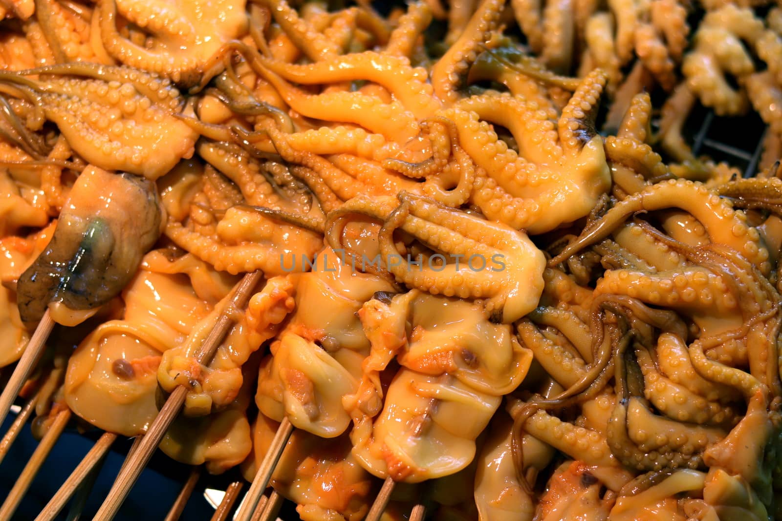 Squid, Fresh squid on panel grid rack in the market