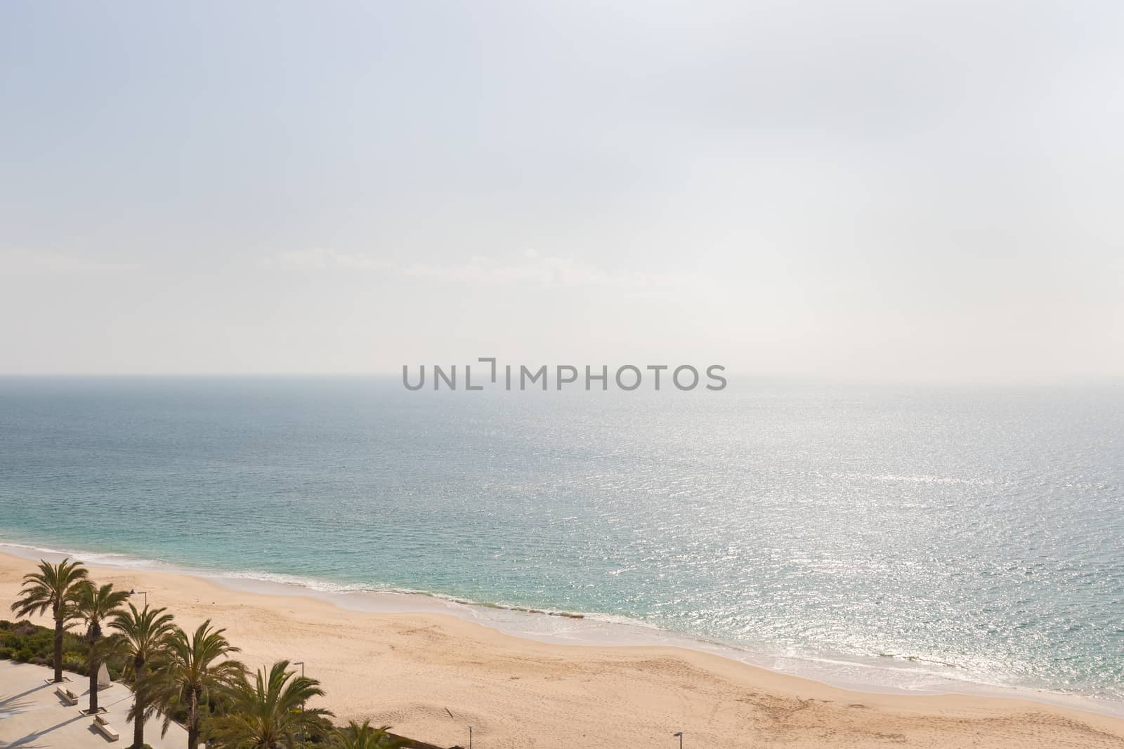 aerial view of Sesimbra beach, Portugal with palm trees and fine sand