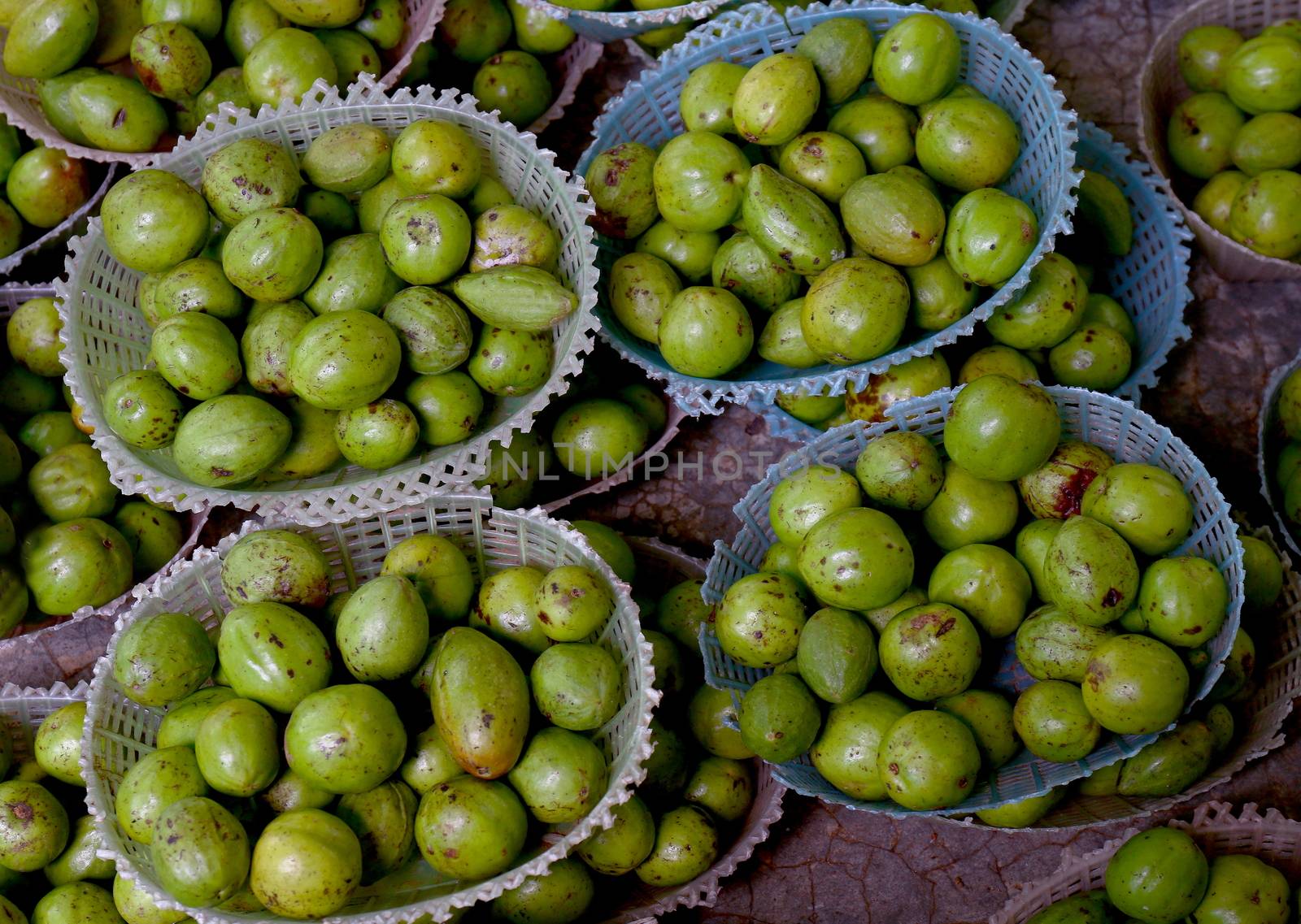 Myrobalan Wood, Chebulic Myrobalans in market