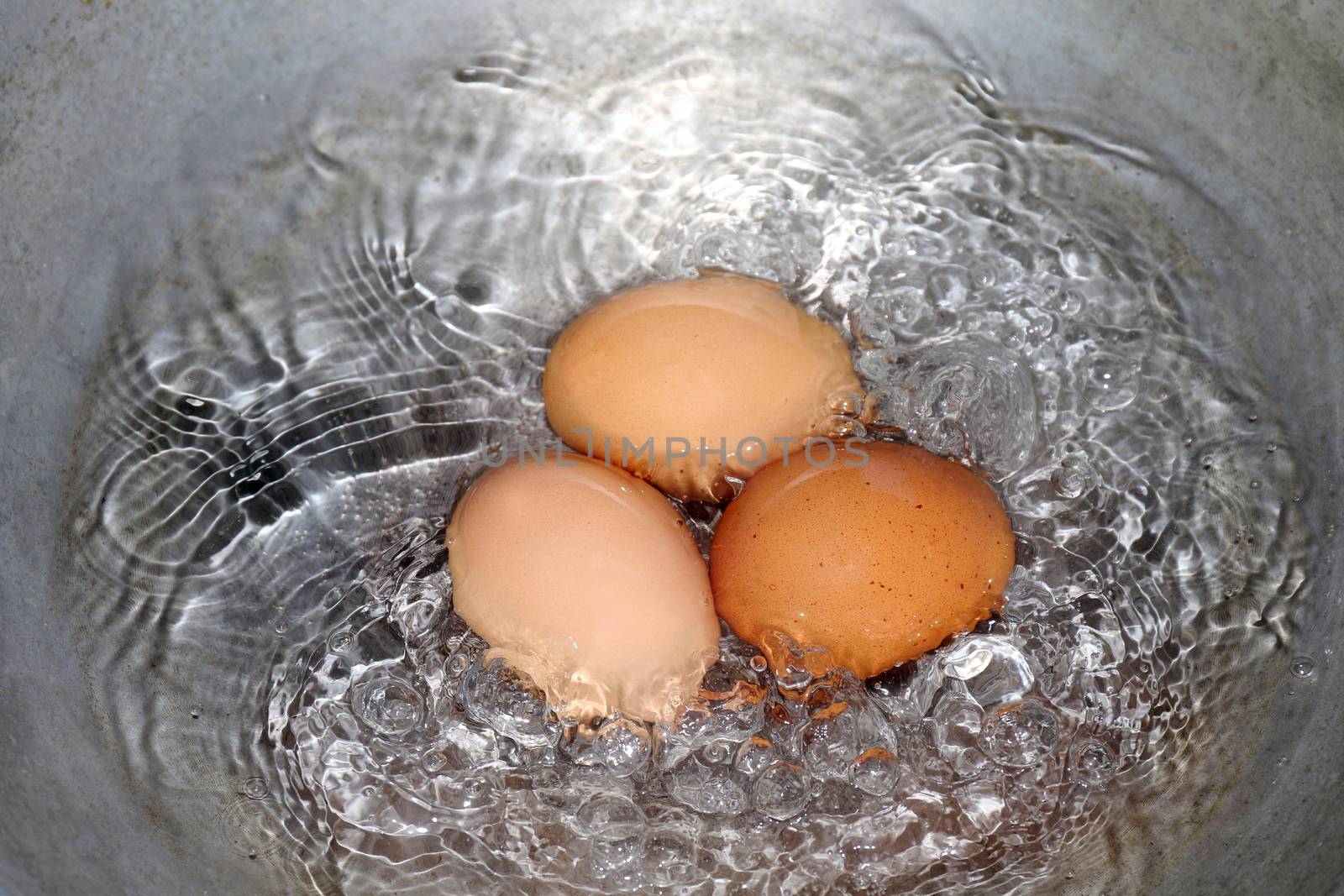 Eggs, Boiled egg in the pan, Raw Egg Reddish yellow in Hot water is boiling cooking (Selective Focus)