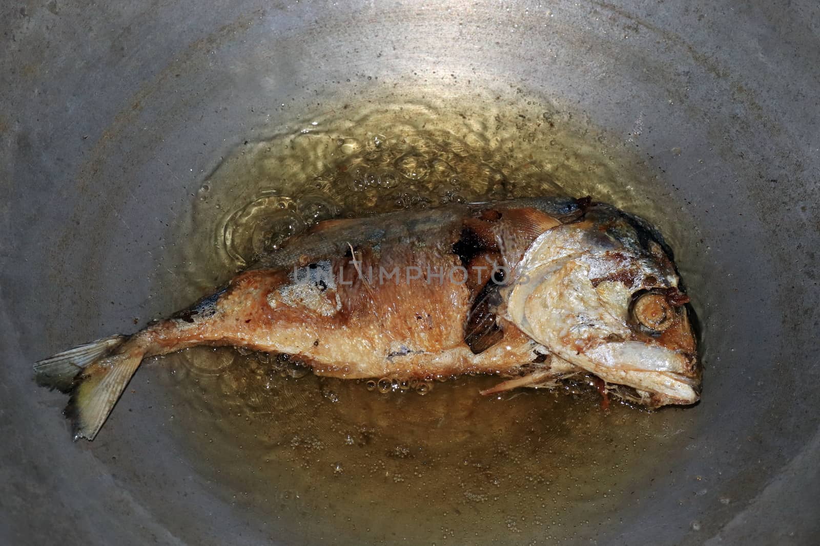Fried Mackerel fish in a pan with hot boiling oil, Salted Mackerel fish Fried foods