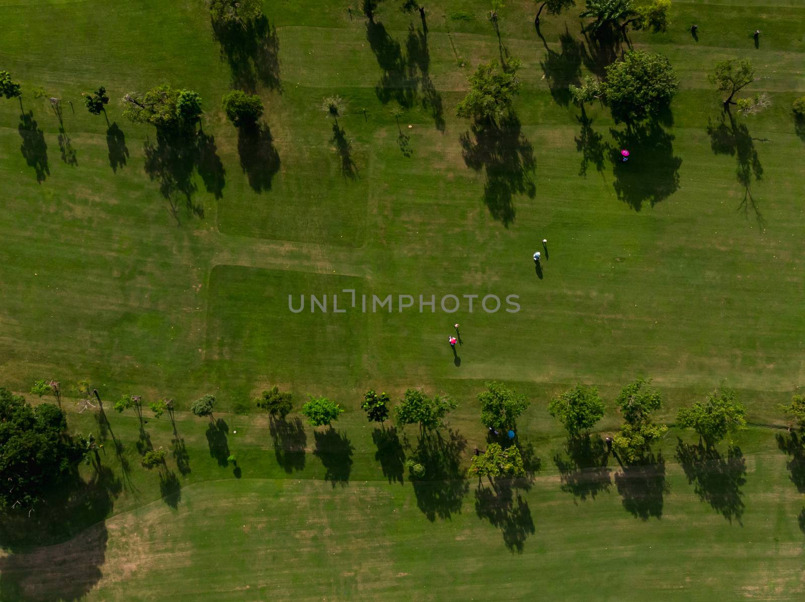 Aerial top view photo from flying drone of Golf Course, Lush green grass on golf course