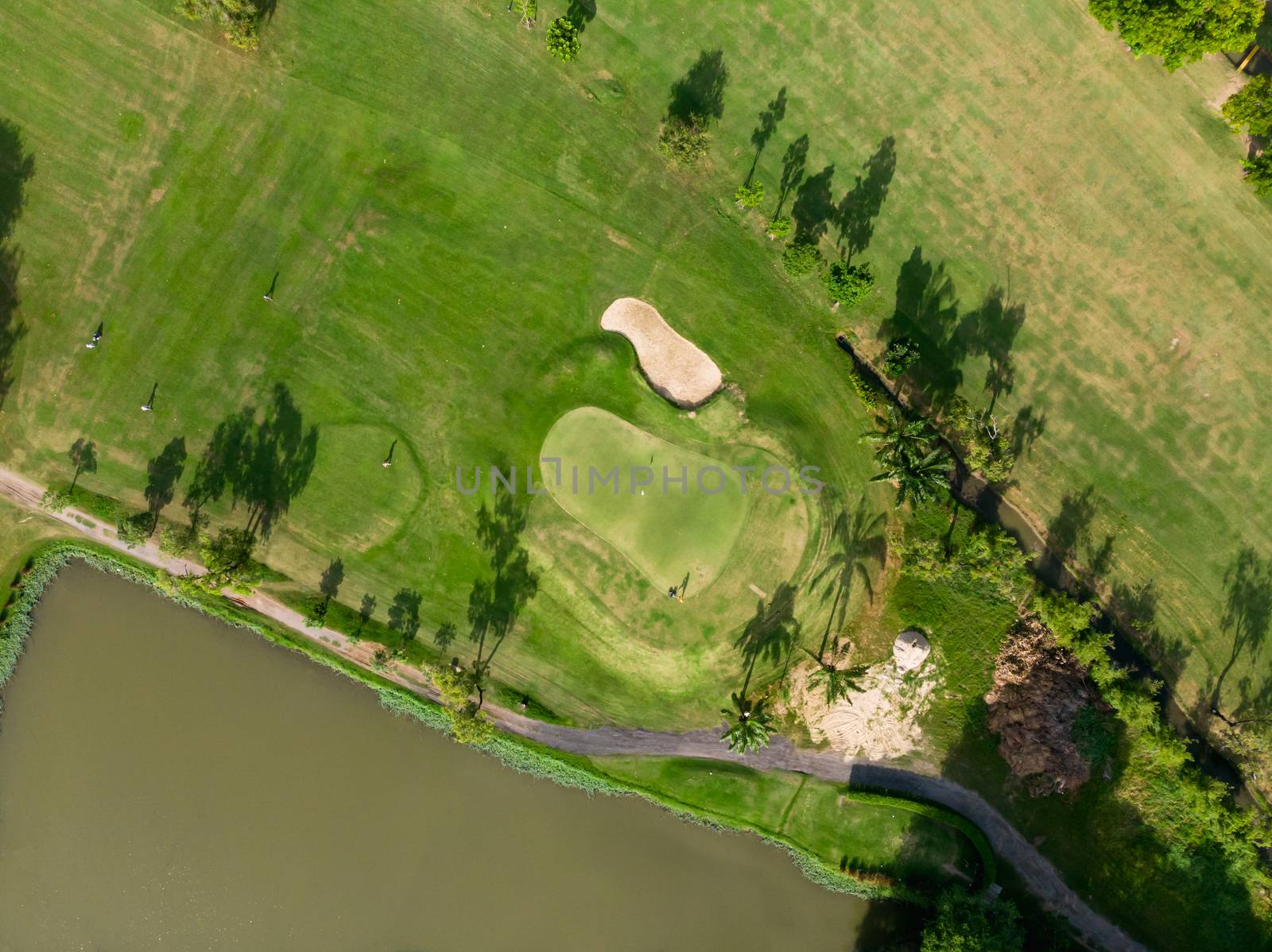 Aerial top view photo from flying drone of Golf Course, Lush gre by PlottyPhoto