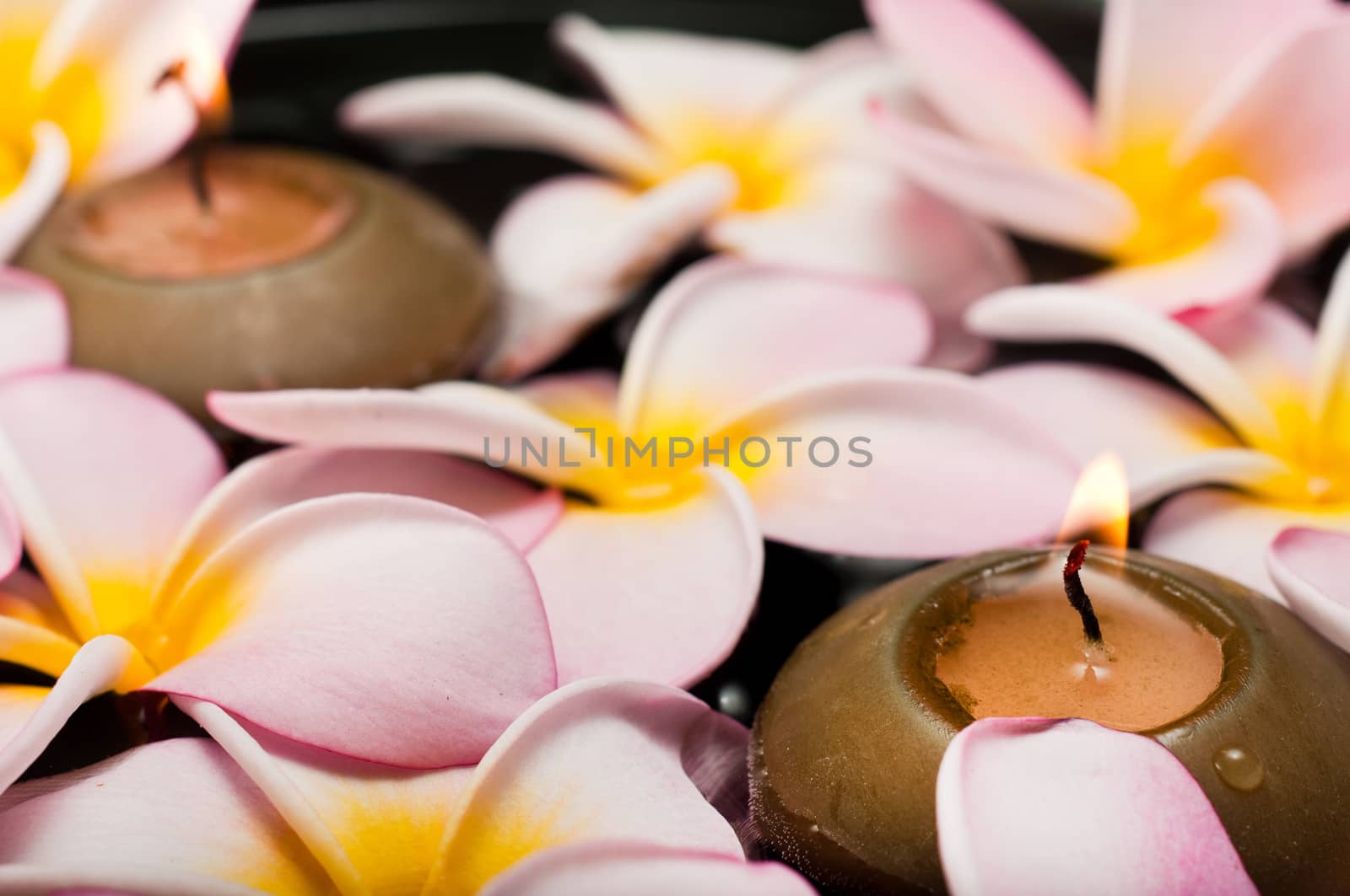 Closeup of floating frangipani flowers and candles
