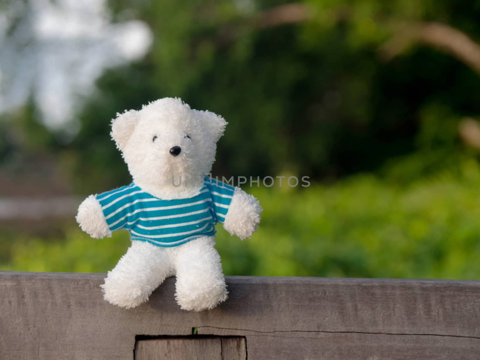 A white teddy bear wearing a blue shirt on the wood behind is a green tree and river.