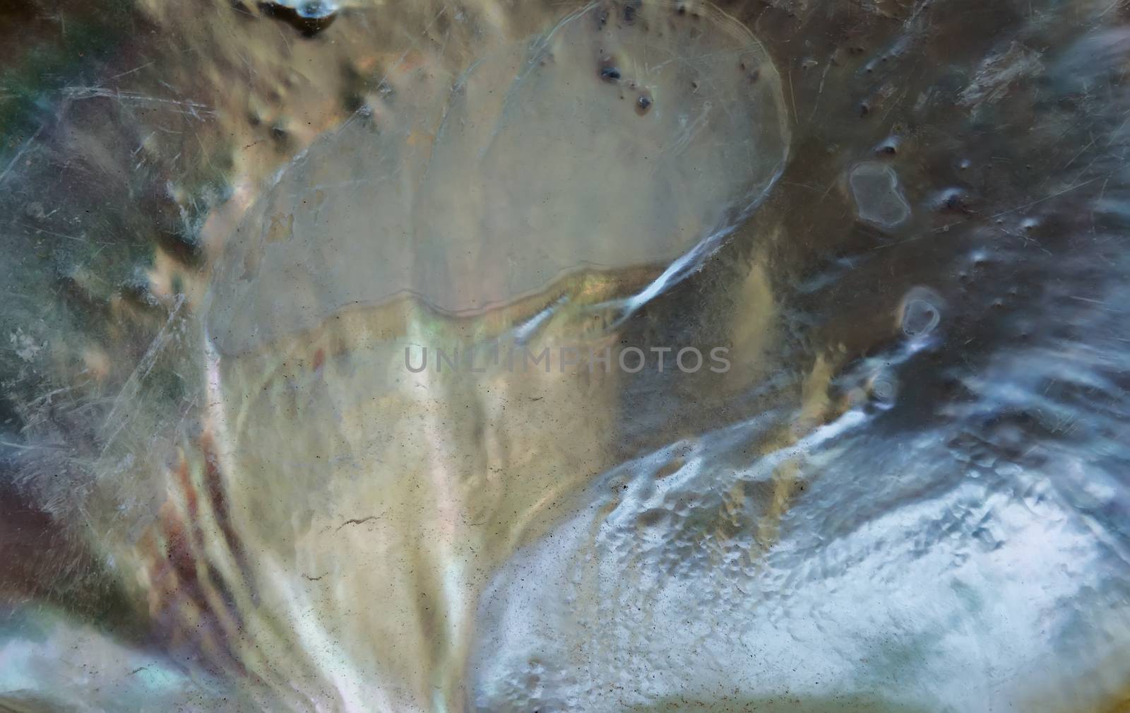 mother-of-pearl seashell macro background texture pattern