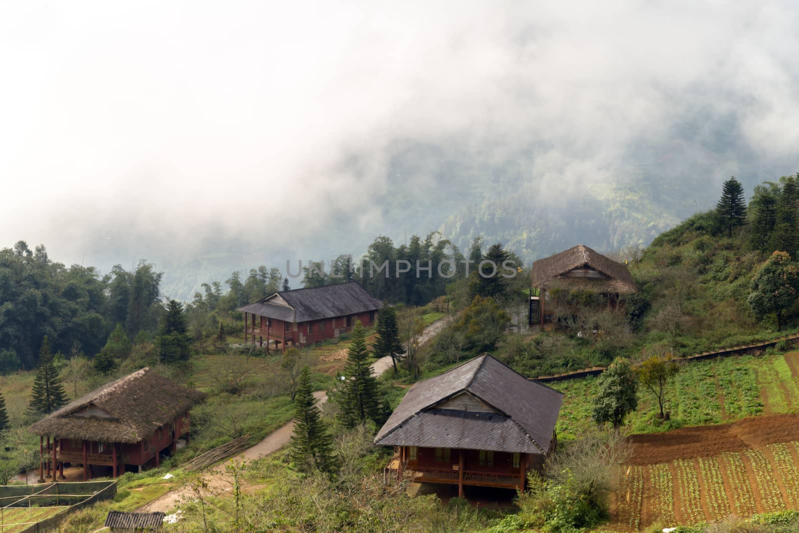 Old rural wooden house cloudy sky, eco tourism mountain Sa Pa. Lao cai province northern Vietnam