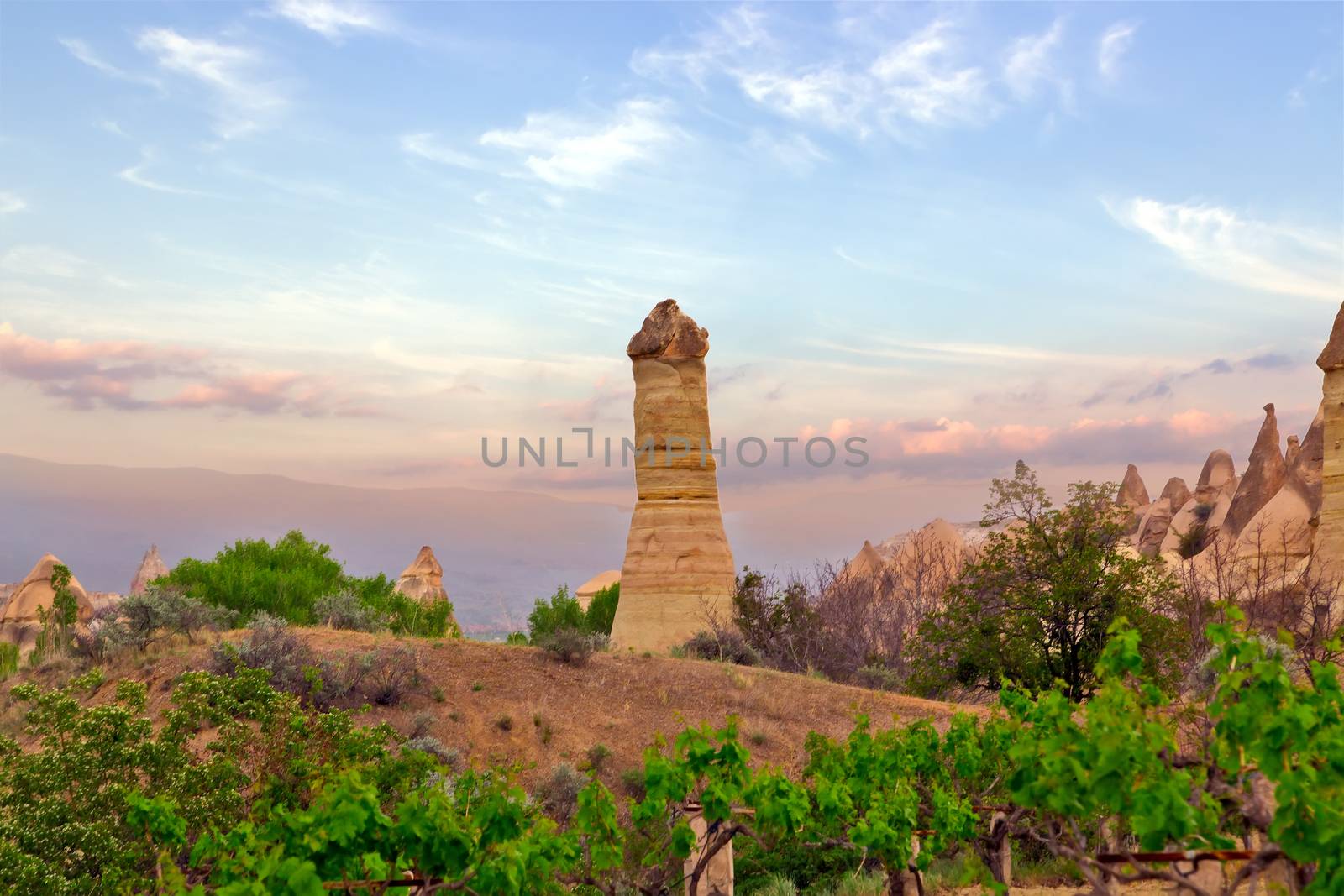 Love valley needles striped, Volcanic tuff named phallic rock pillar. Rocky landscape of Cappadocia in Turkey