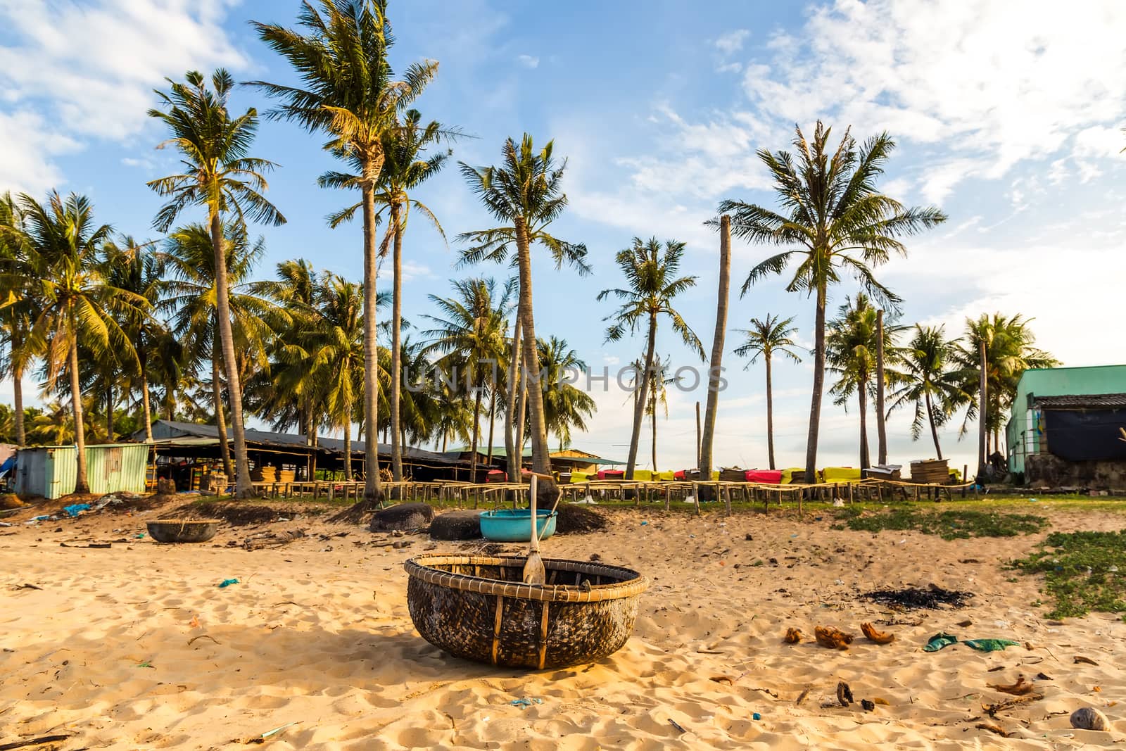 Coconut Palm tree on the sandy beach and vietnamese braided boat.