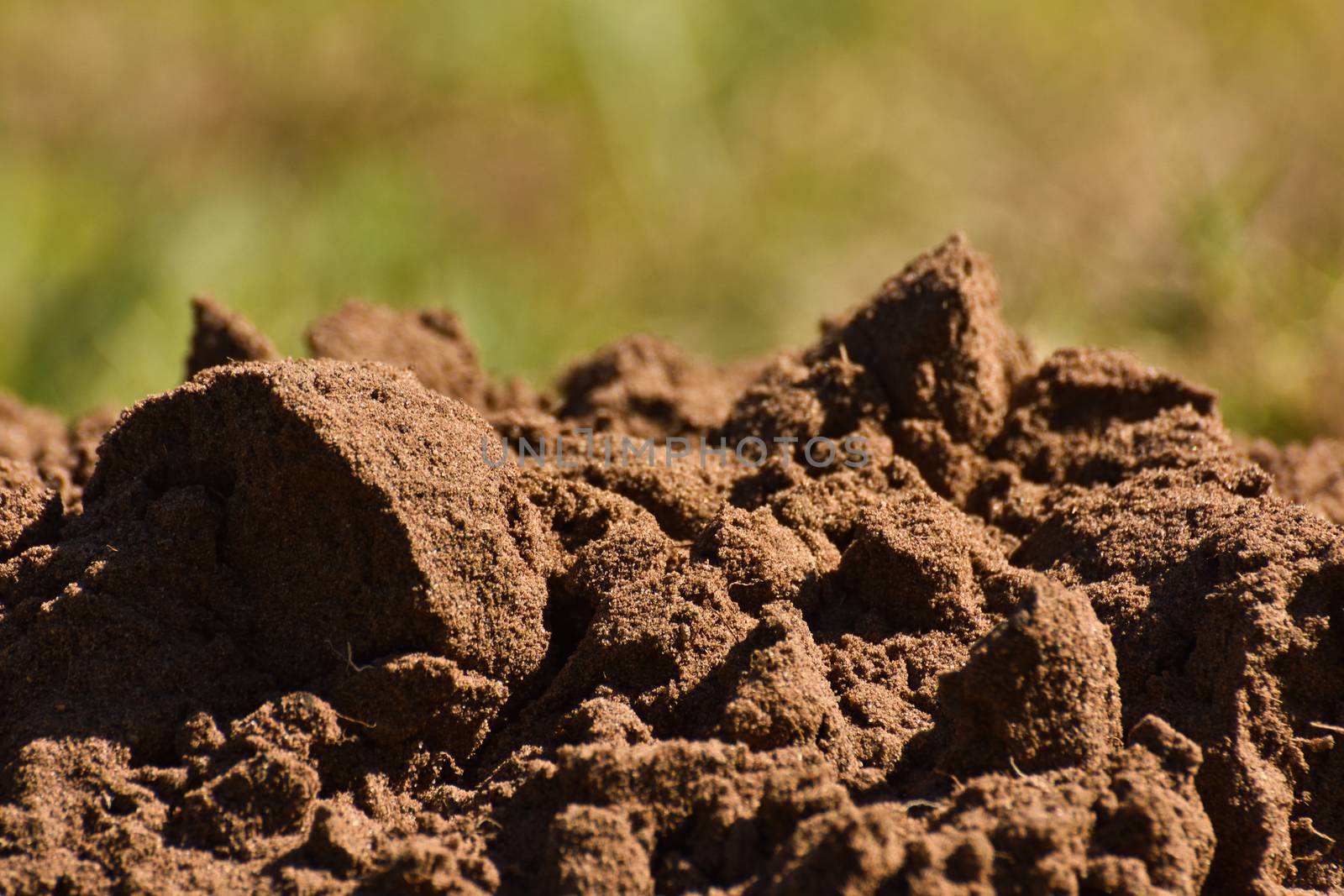 Damp Fertile Sandy Soil Dirt Heap by jjvanginkel