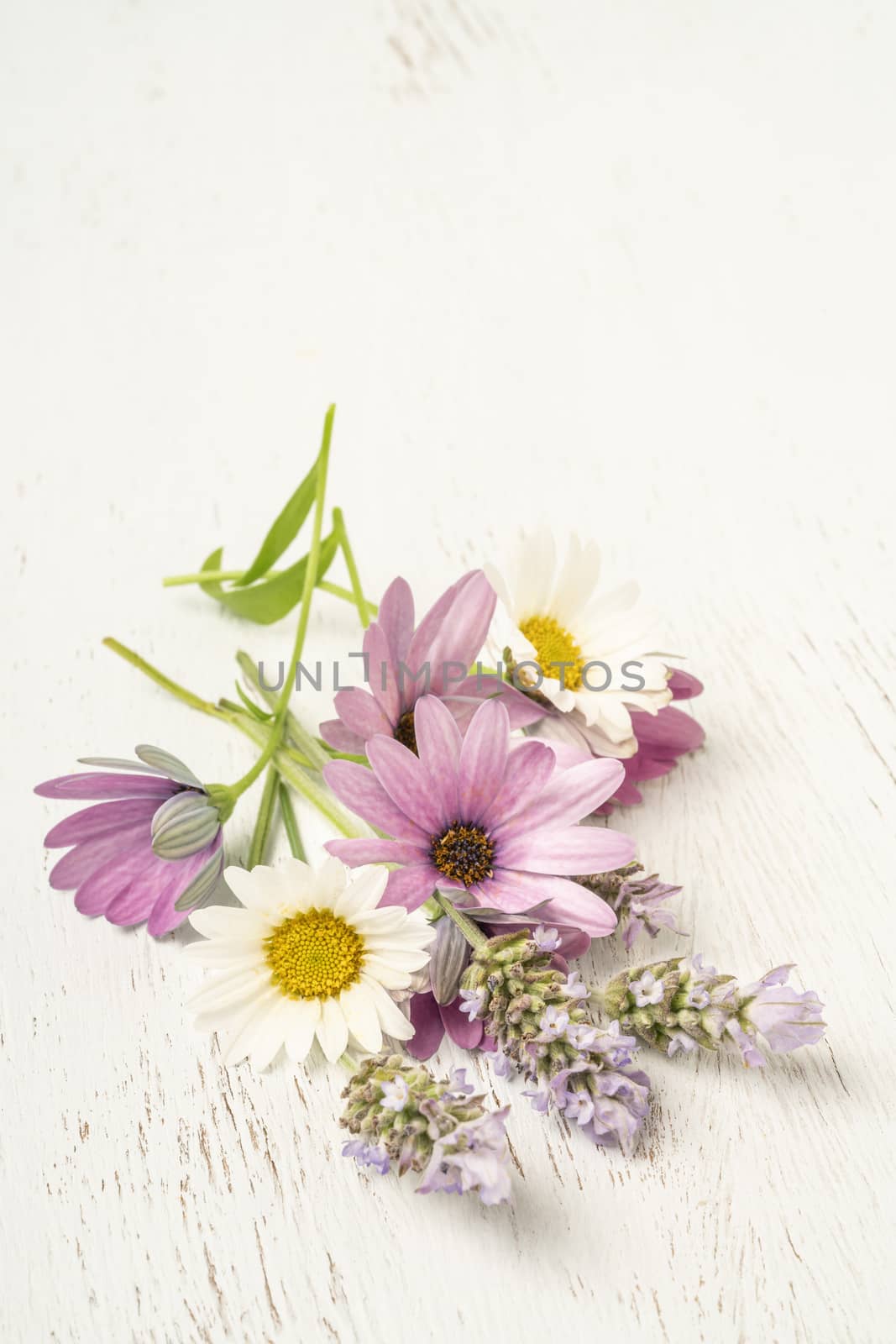 colorful bouquet of spring flowers on a wooden table with copy space