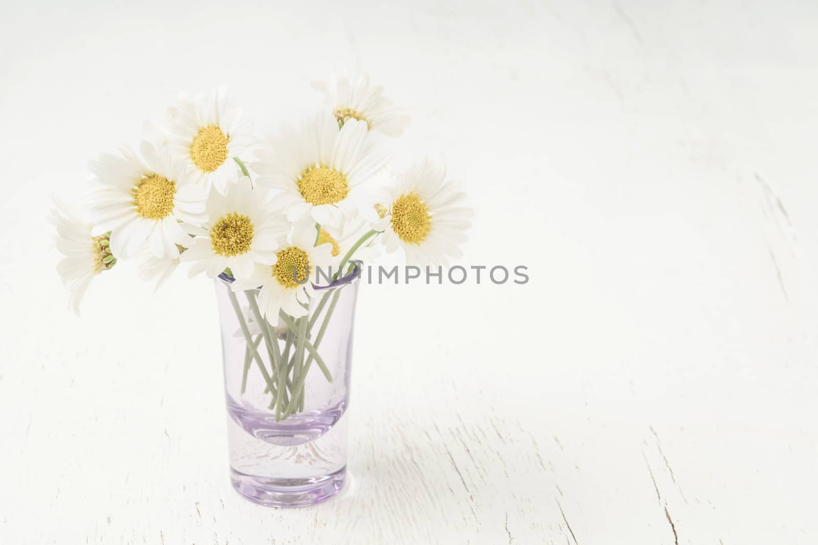 beautiful daisy flowers in a vase on a wooden table with copy space