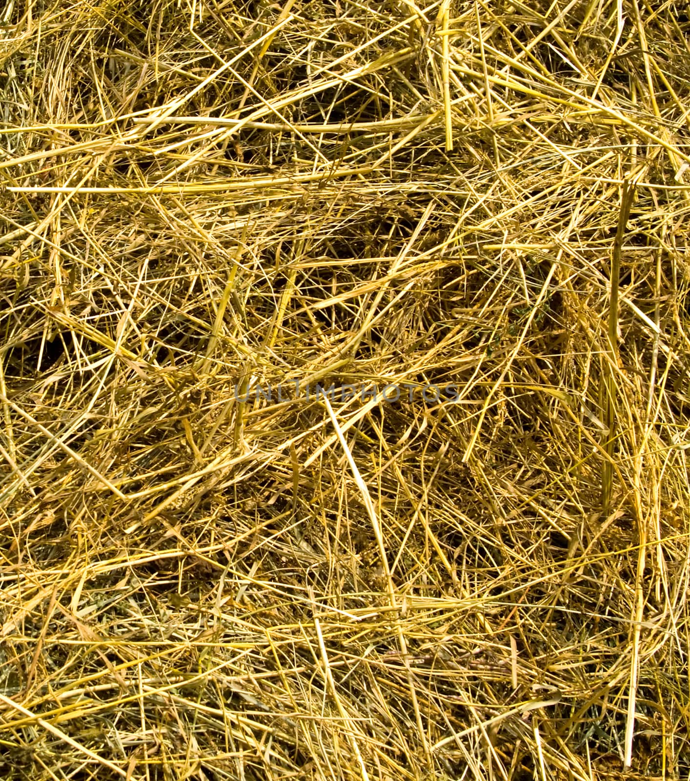 harvest with straw background of straws.