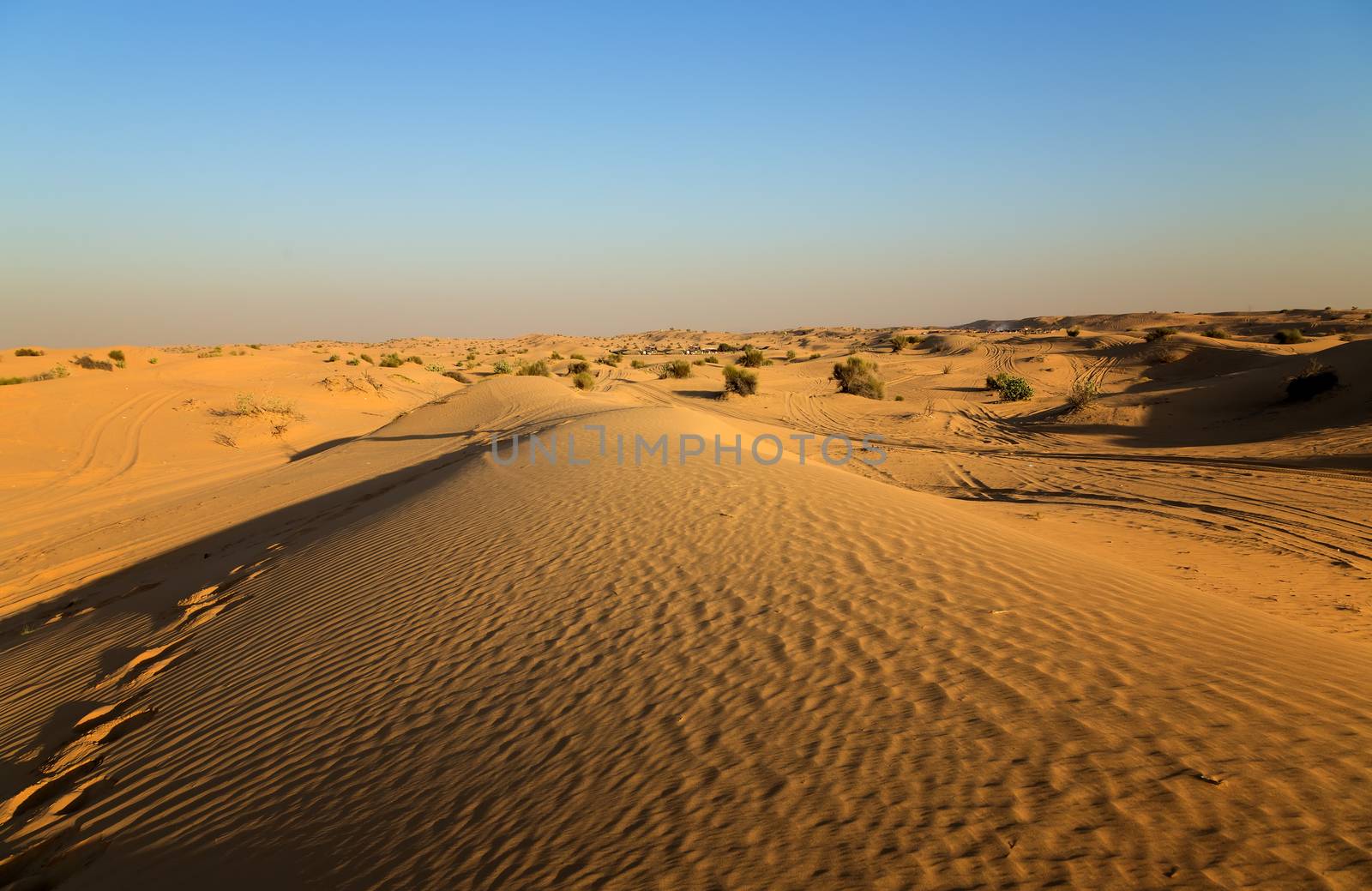traces on sand footprint in sand natural desert dune