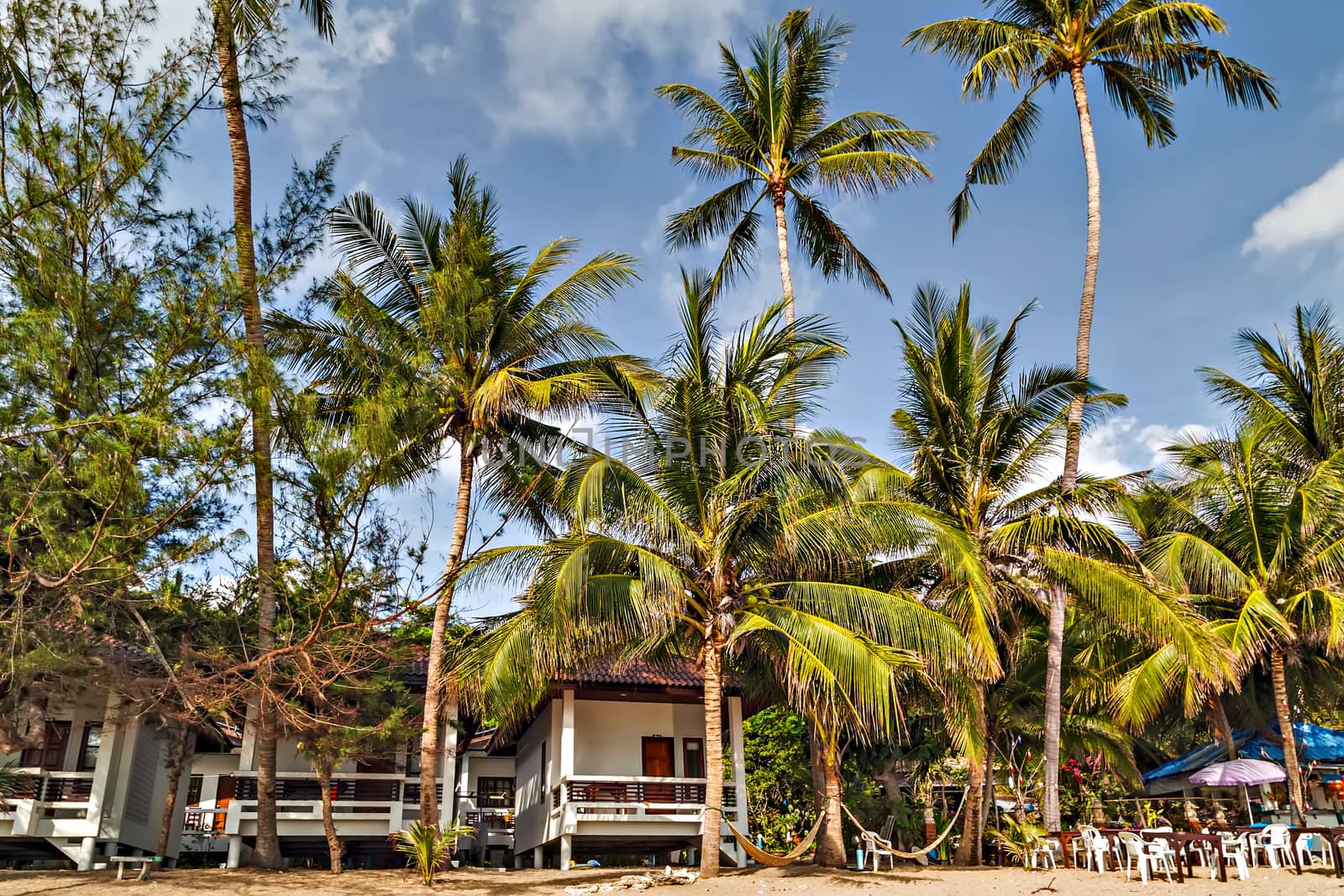 Tropical rock beach Koh Samui, Thailand. sea summer nature landscape Paradise island.