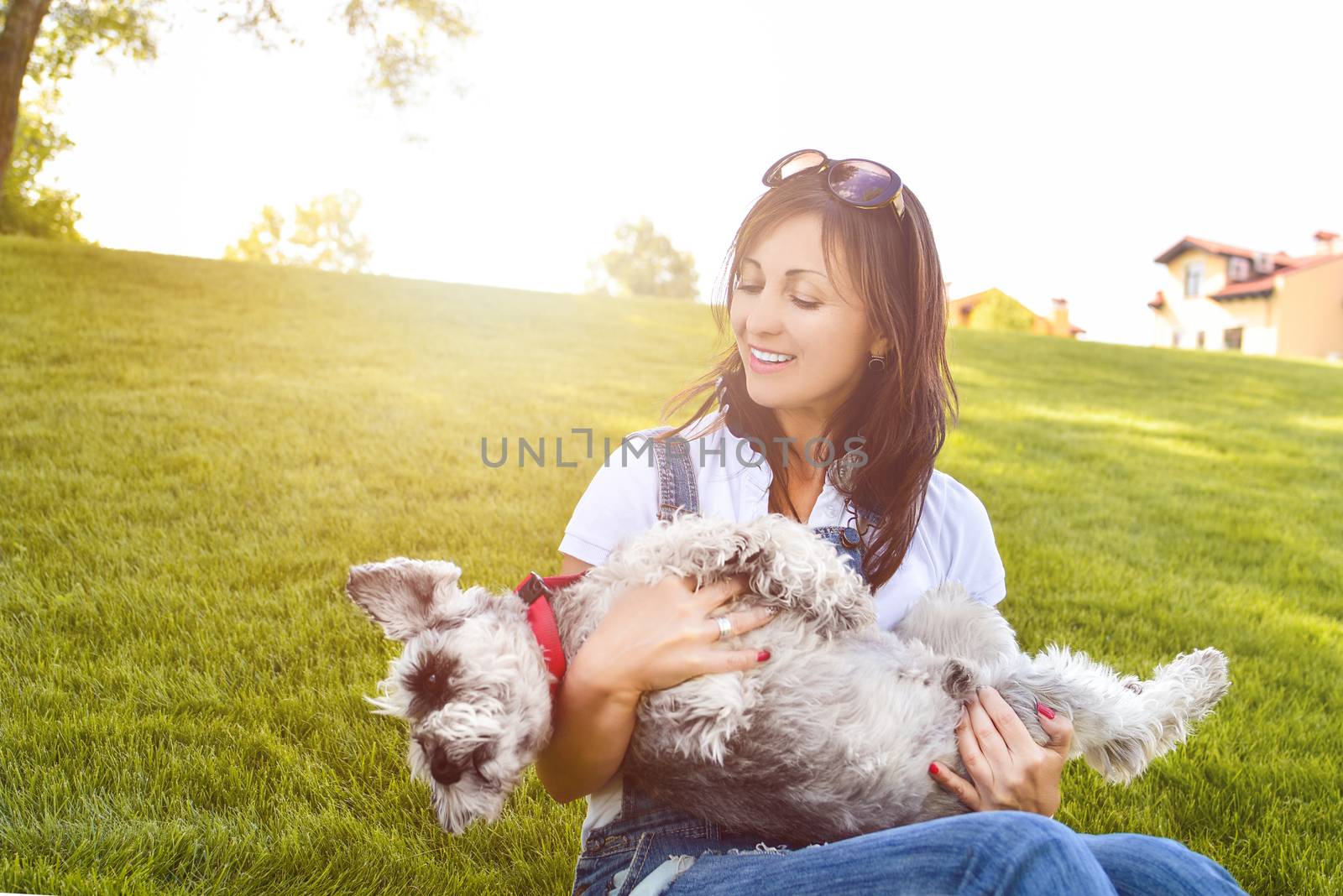 Portrait of a happy caucasian woman who hugs her beloved dog.The concept of love for animals. best friends. Dog breed Schnauzer by Nickstock