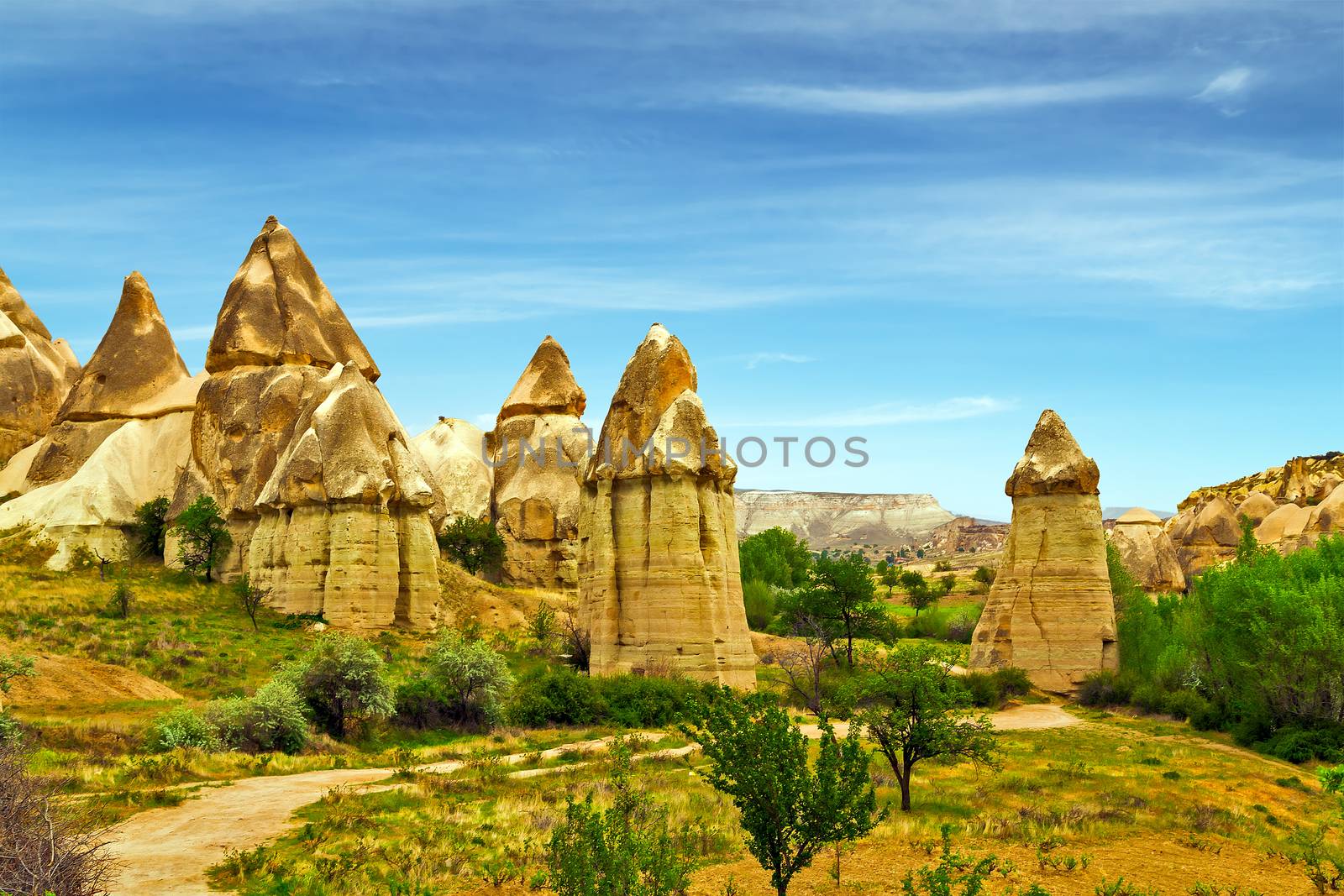 Love valley in Goreme nationa park, rock valley landscape, Cappadocia, Turkey