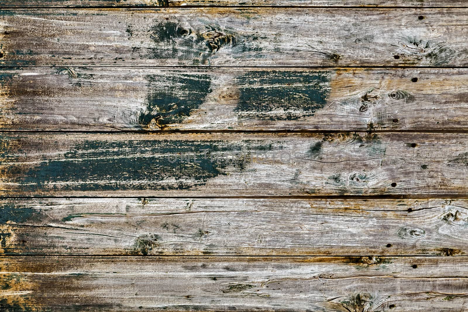 wood texture of tree stump, Vintage grungy hardwood background of natural old wooden panel