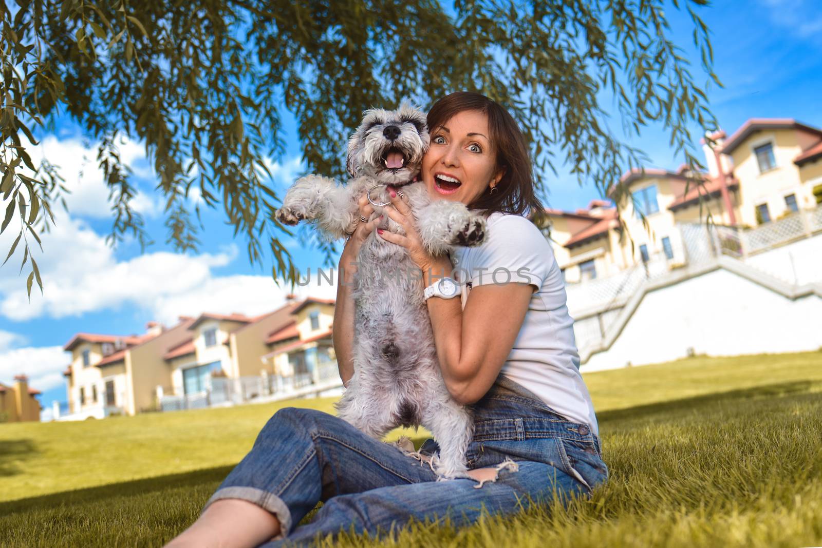 Caucasian joyful woman playing with her beloved dog in the park. The concept of love for animals. best friends. Dog breed Schnauzer. sunny day by Nickstock
