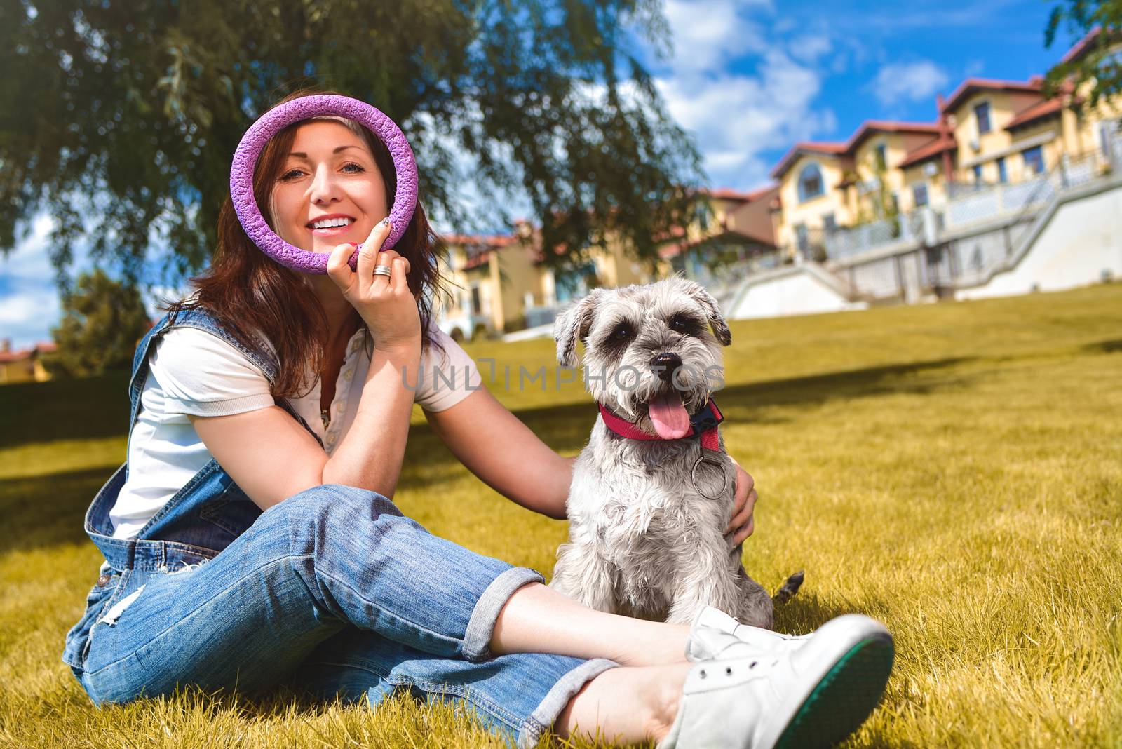 Caucasian joyful woman playing with her beloved dog in the park. The concept of love for animals. best friends. Dog breed Schnauzer. sunny day by Nickstock