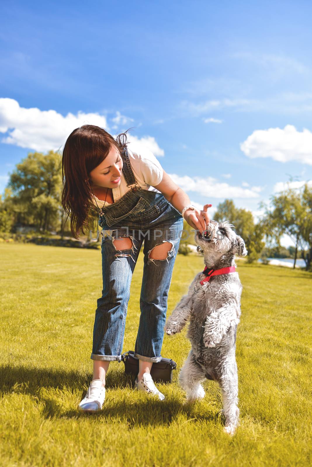 Caucasian woman trains and feeds her beloved dog in the park.
