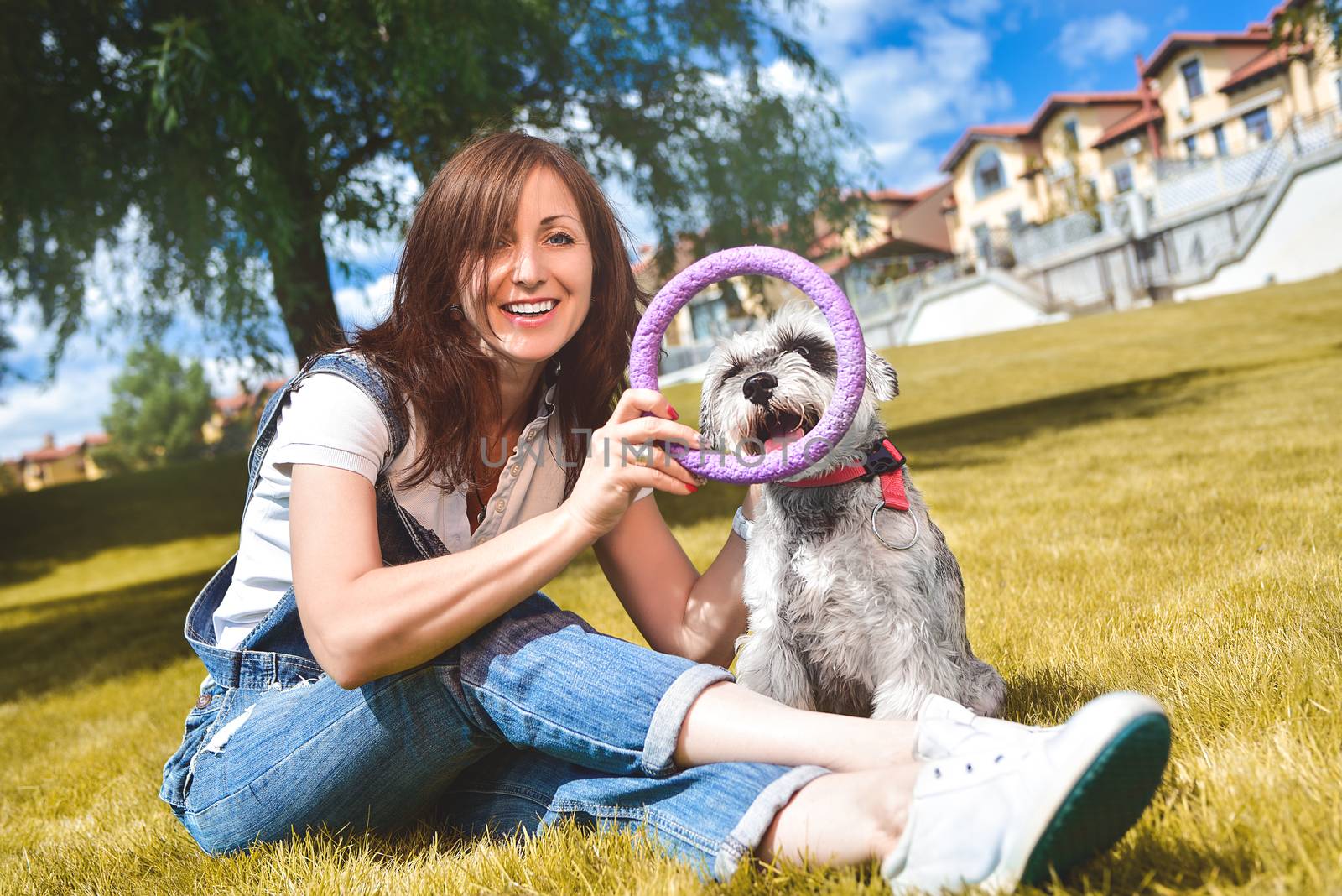 Caucasian joyful woman playing with her beloved dog in the park. The concept of love for animals. best friends. Dog breed Schnauzer. sunny day by Nickstock
