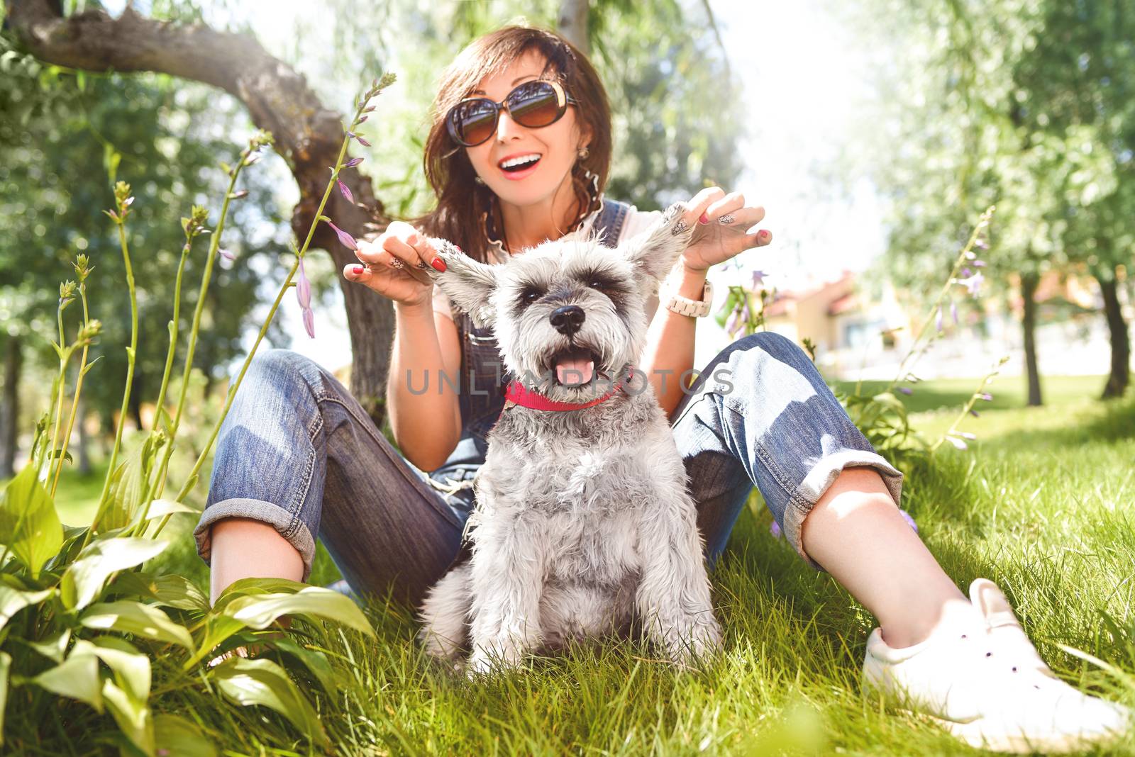 happy caucasian woman in sunglasses resting in nature with her beloved dog schnauzer. concept of love for animals. best friends by Nickstock