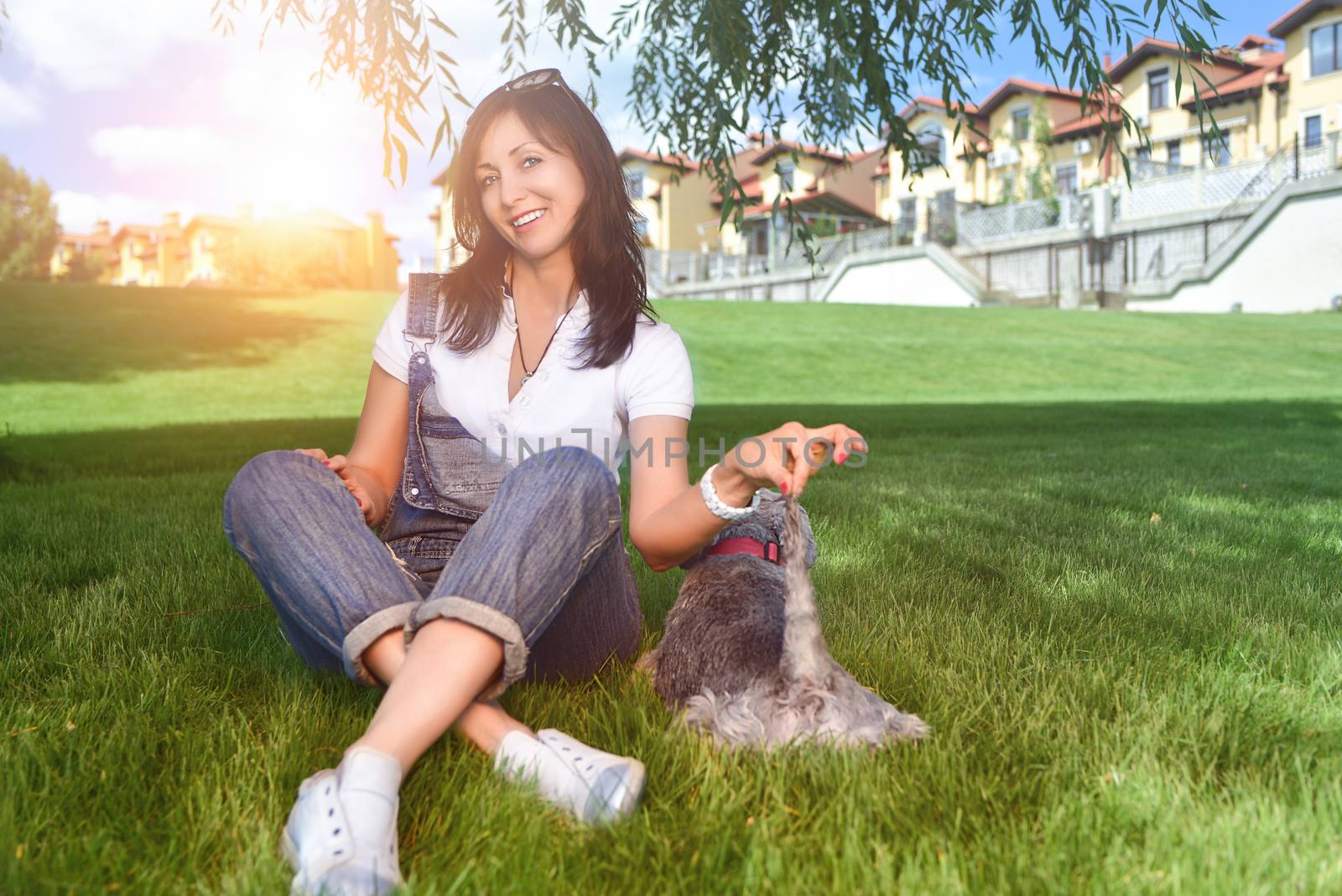 Caucasian joyful woman playing with her beloved dog in the park. The concept of love for animals. best friends. Dog breed Schnauzer. sunny day by Nickstock