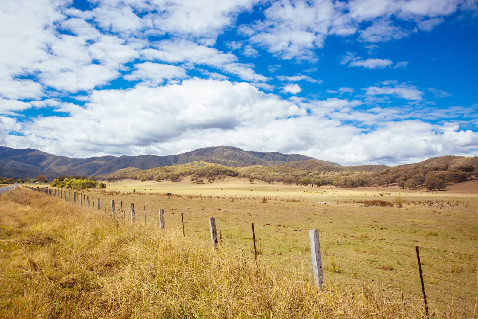 The Alpine Way road near Khancoban on a sunny autumn day in New South Wales, Australia